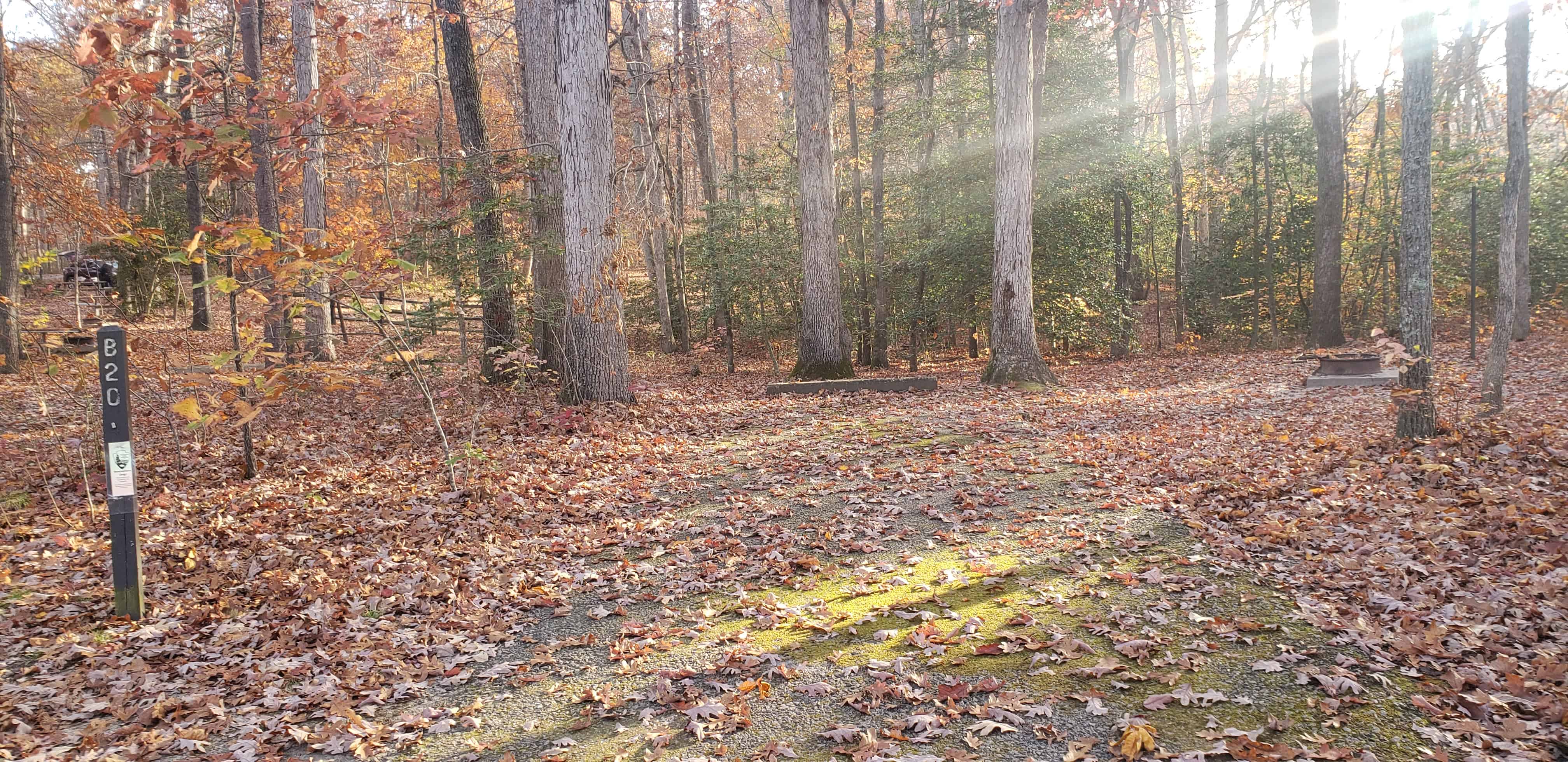 Oak Ridge Campground