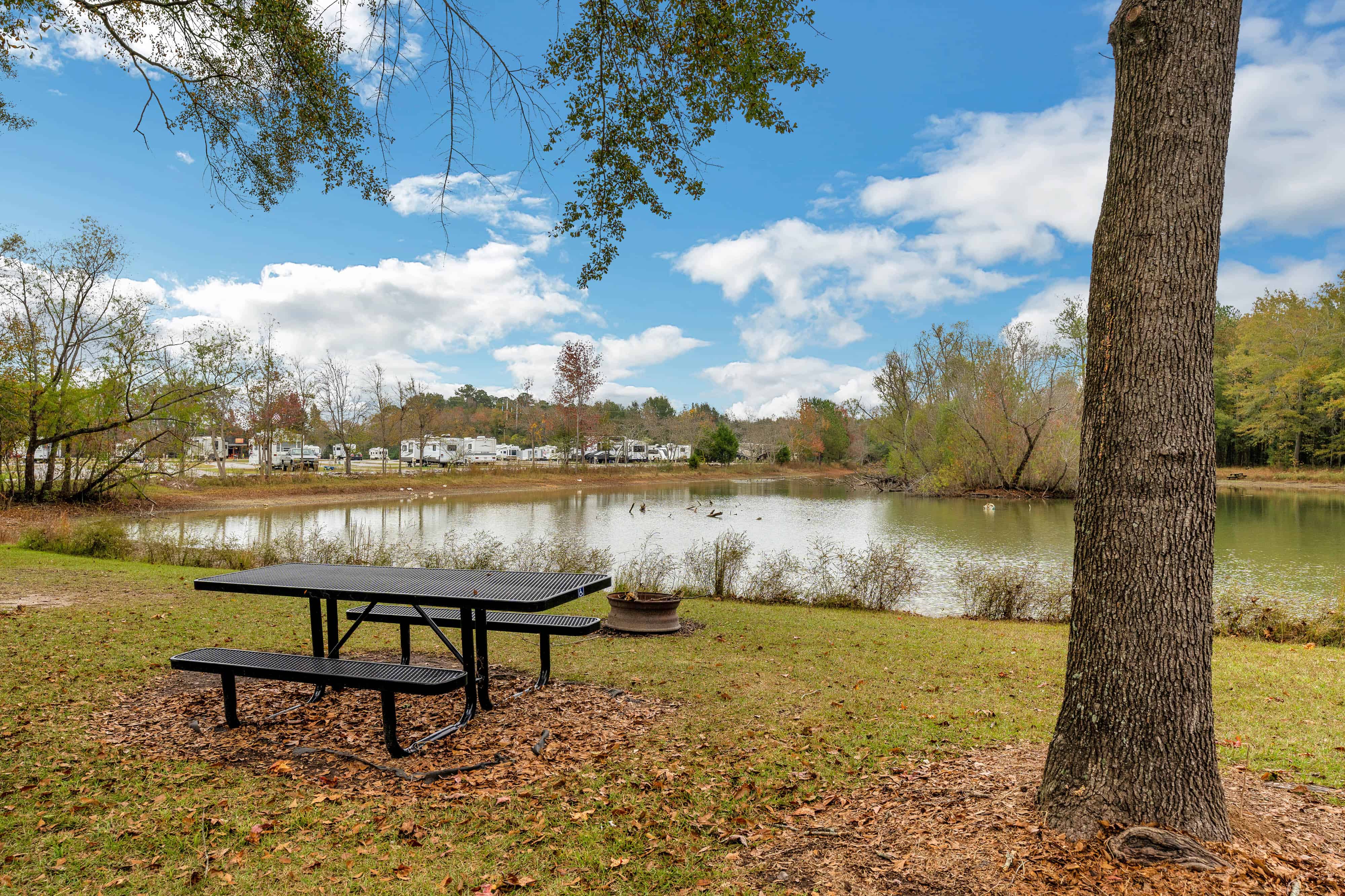 The Woods RV Park and Campground