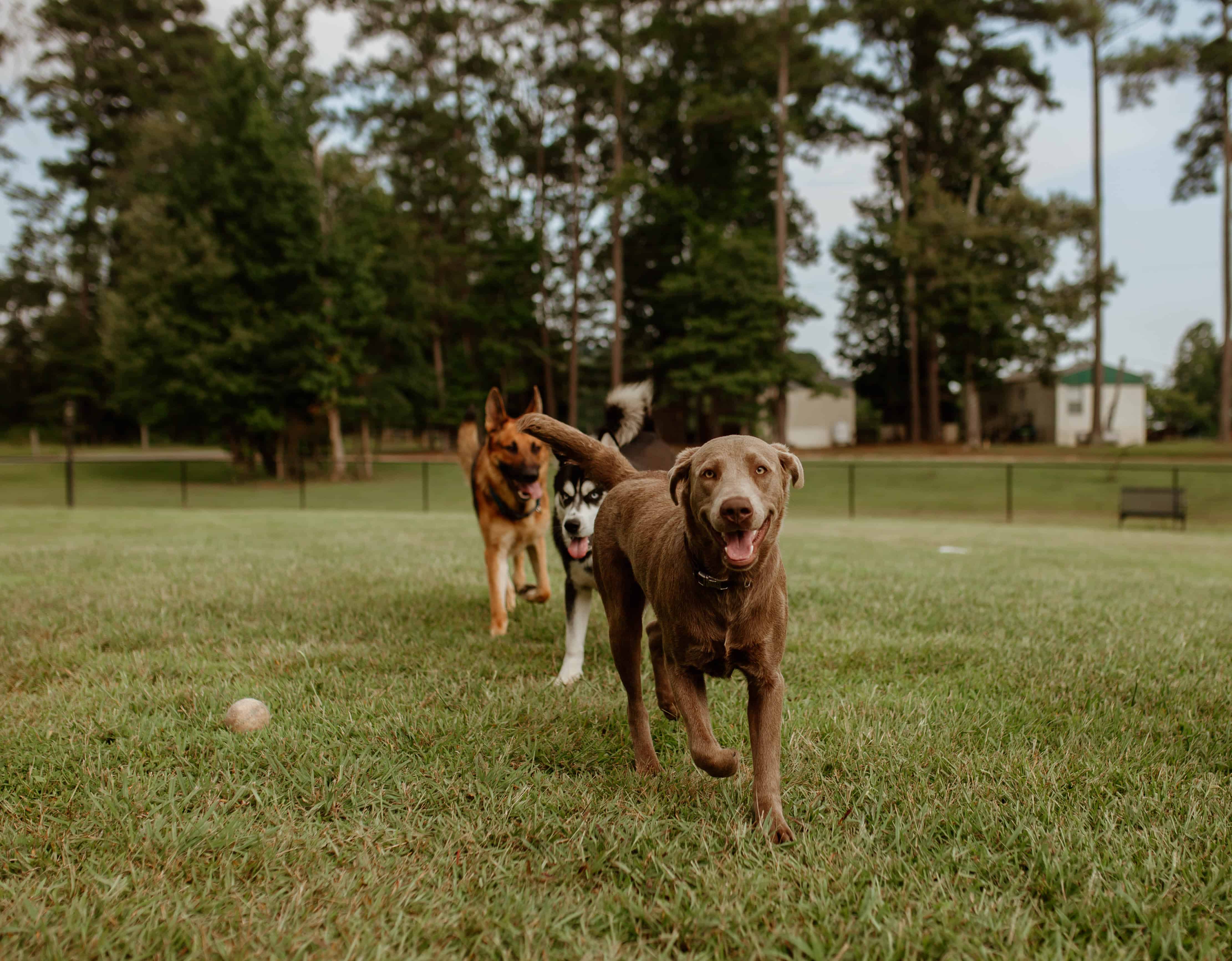 Greensport RV Park & Campground