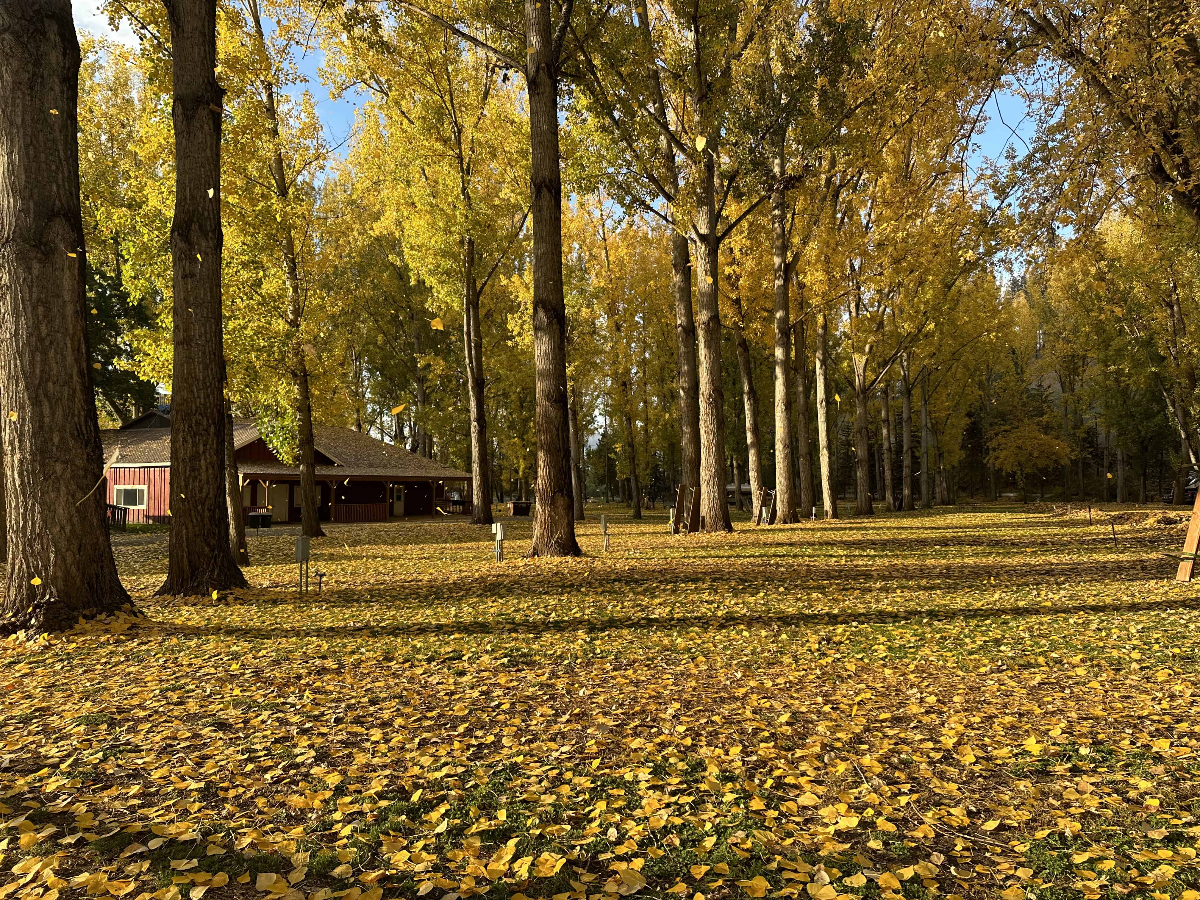 Lewis-Clark Resort at Kamiah Clearwater River KOA