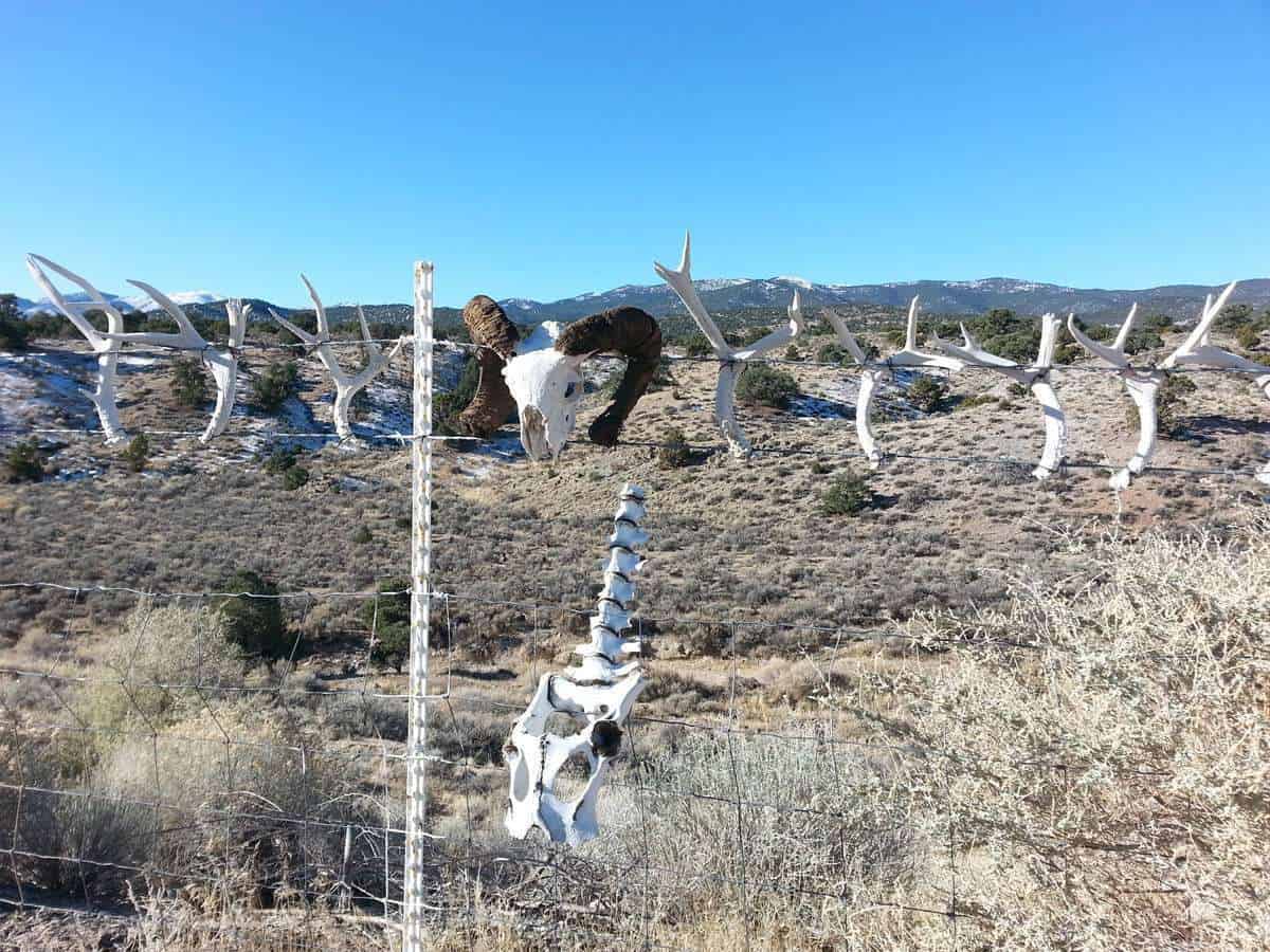 Major's Station Bar & RV Park