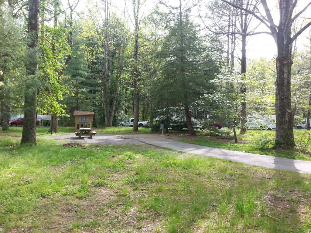 Davidson River Campground