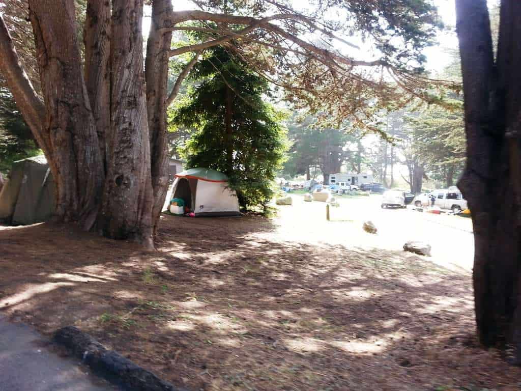 Plaskett Creek Campground