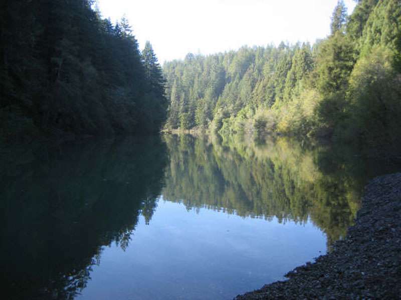 Gualala River Redwood Park