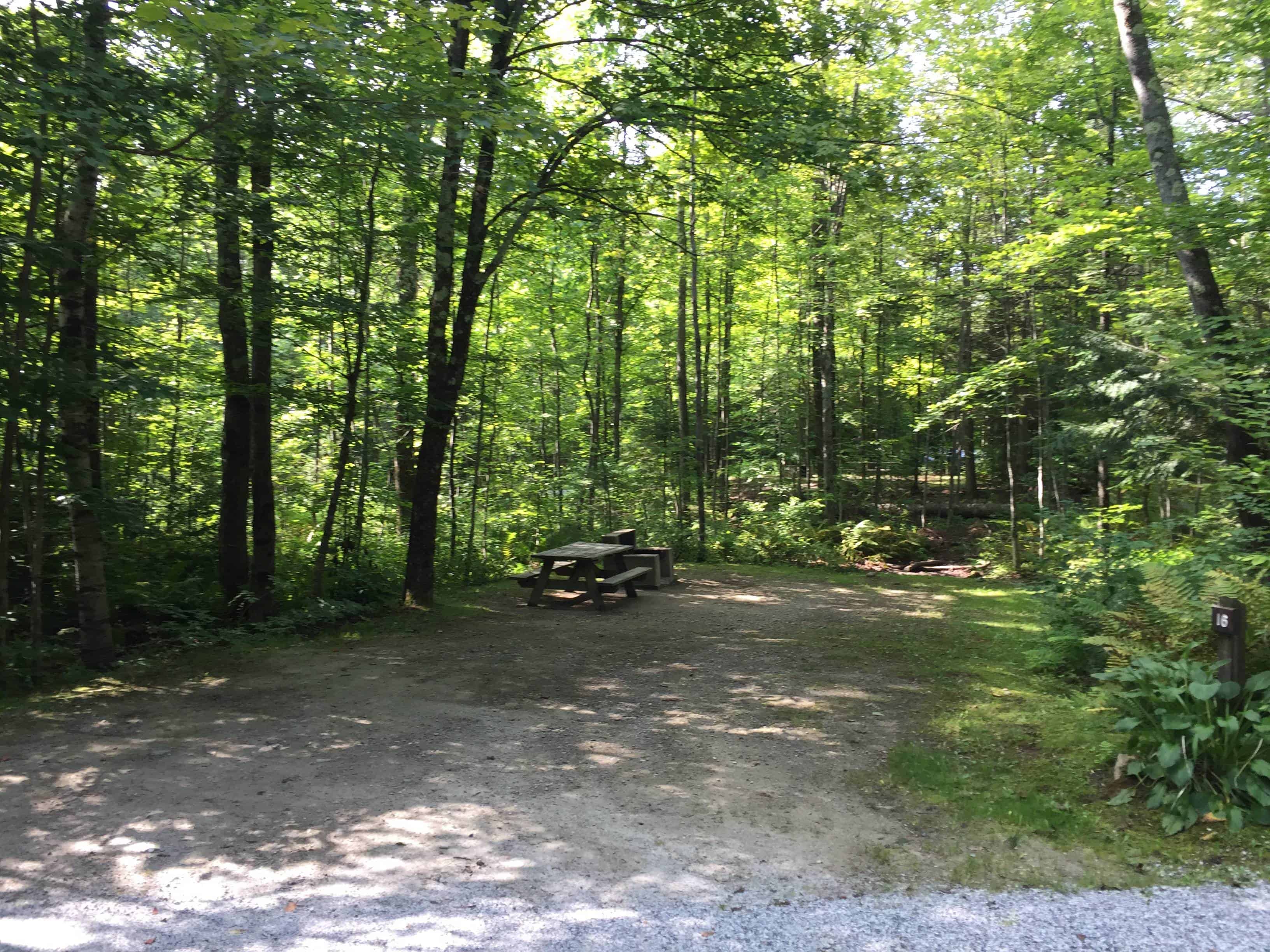 Gifford Woods State Park