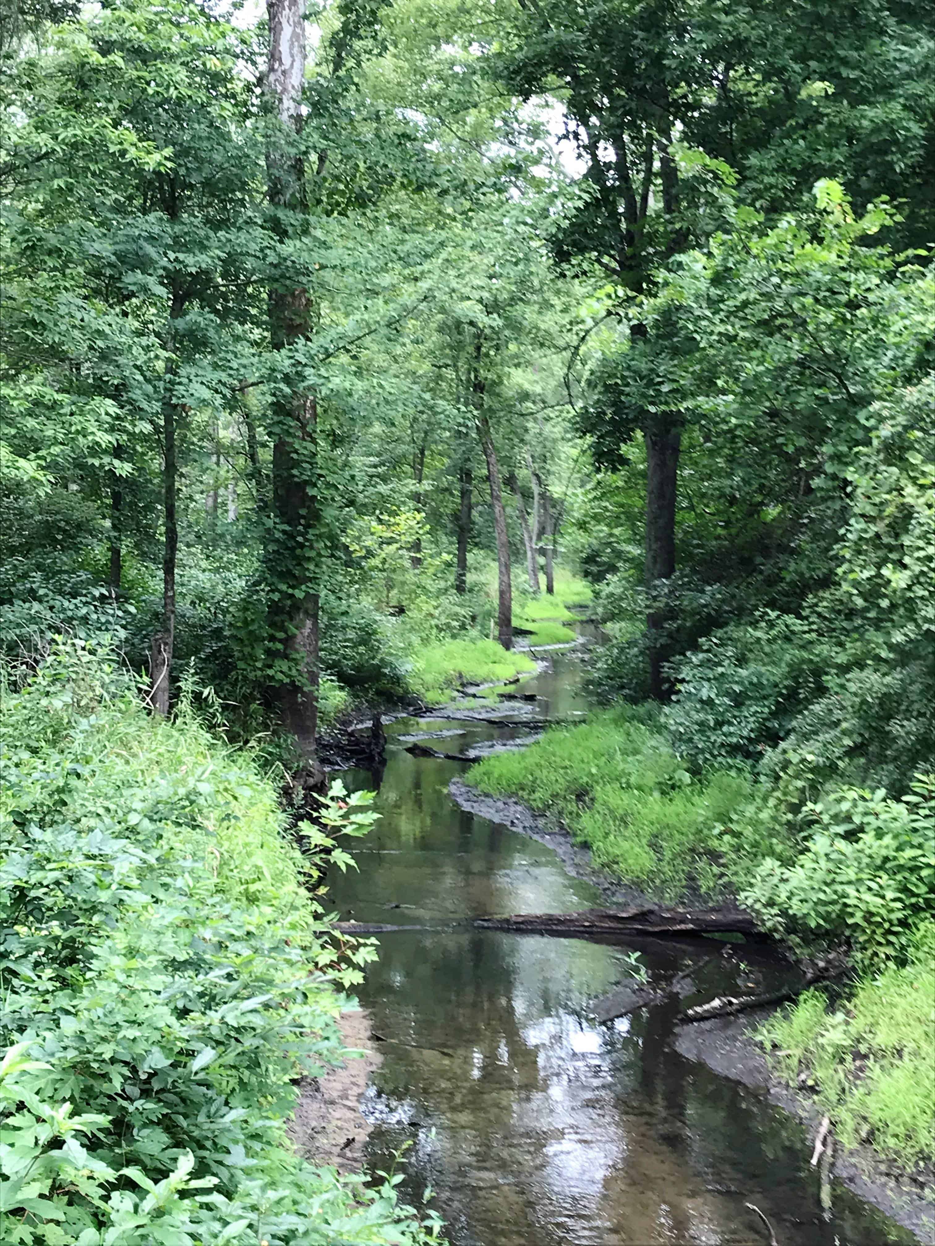 Tippecanoe River State Park