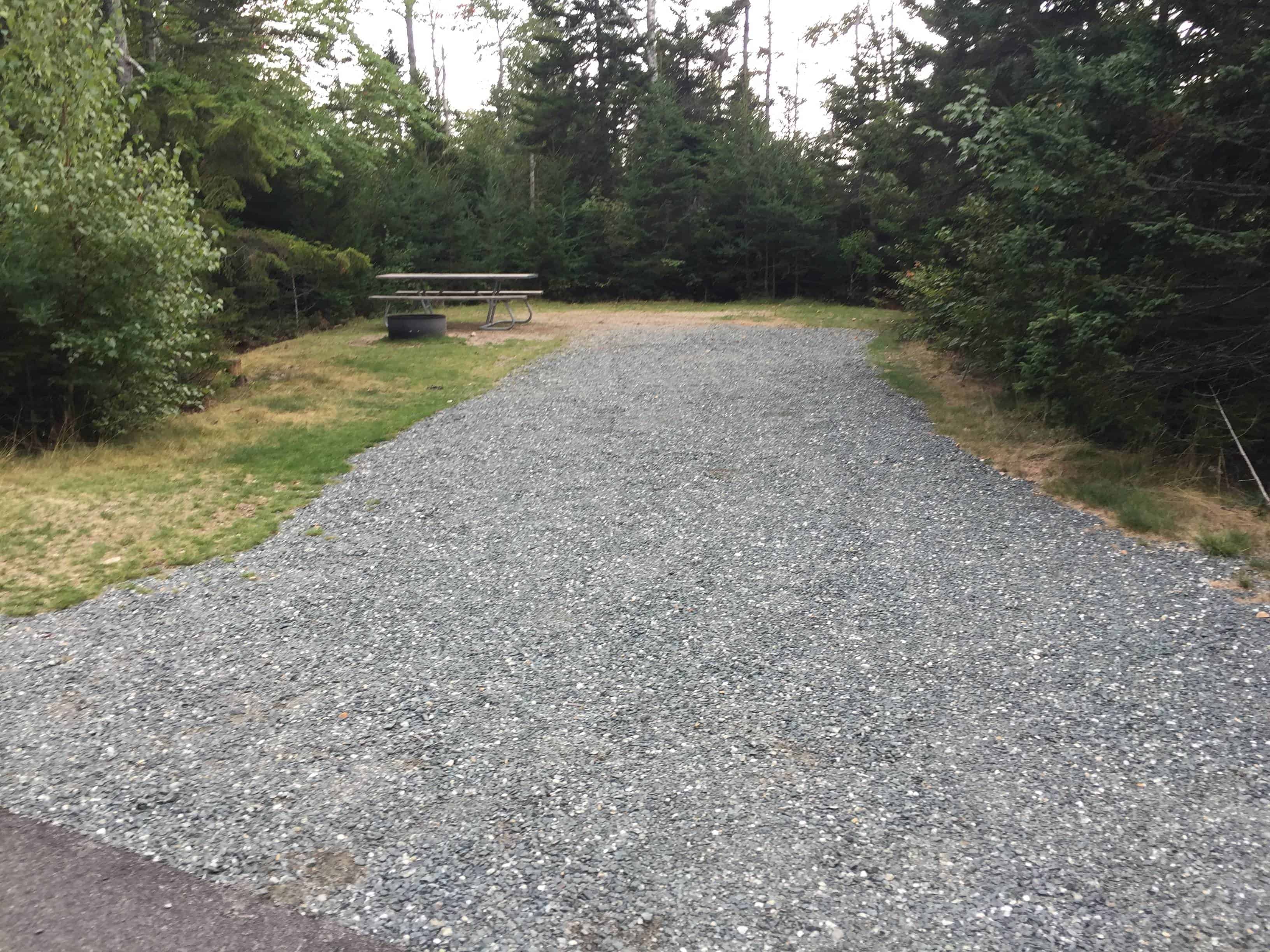 Schoodic Woods Campground