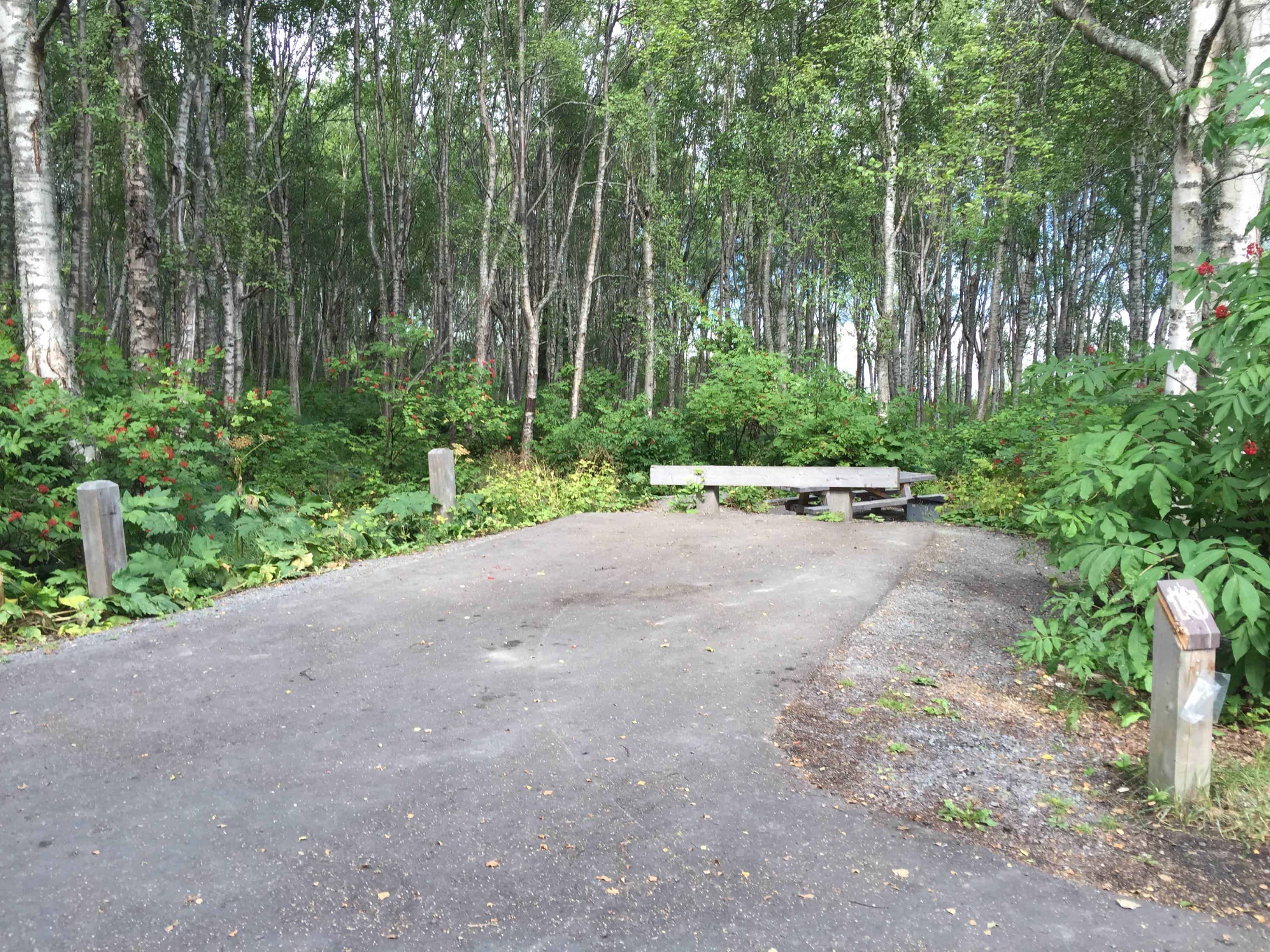 Anchor River State Recreation Area
