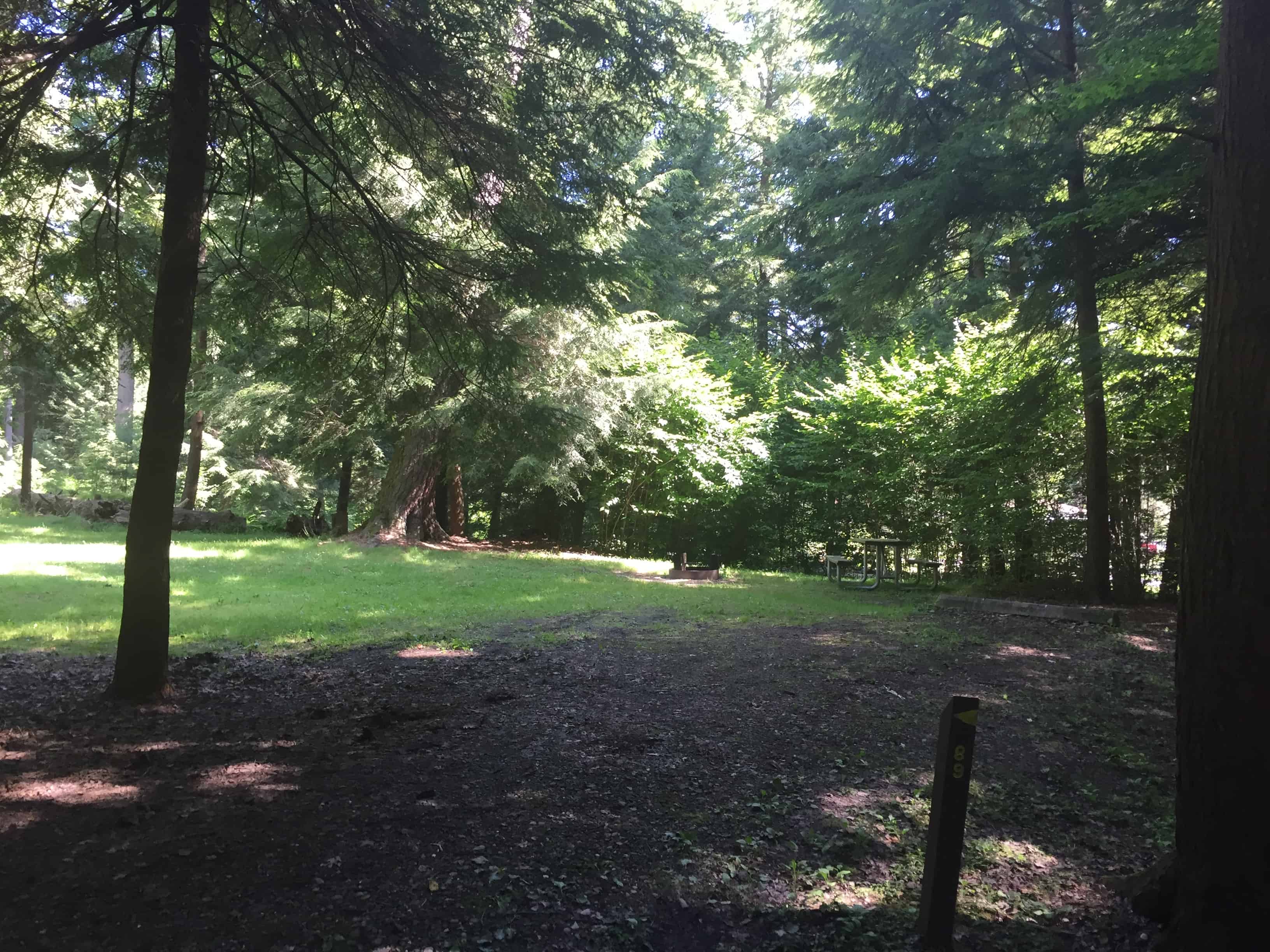 Cook Forest State Park