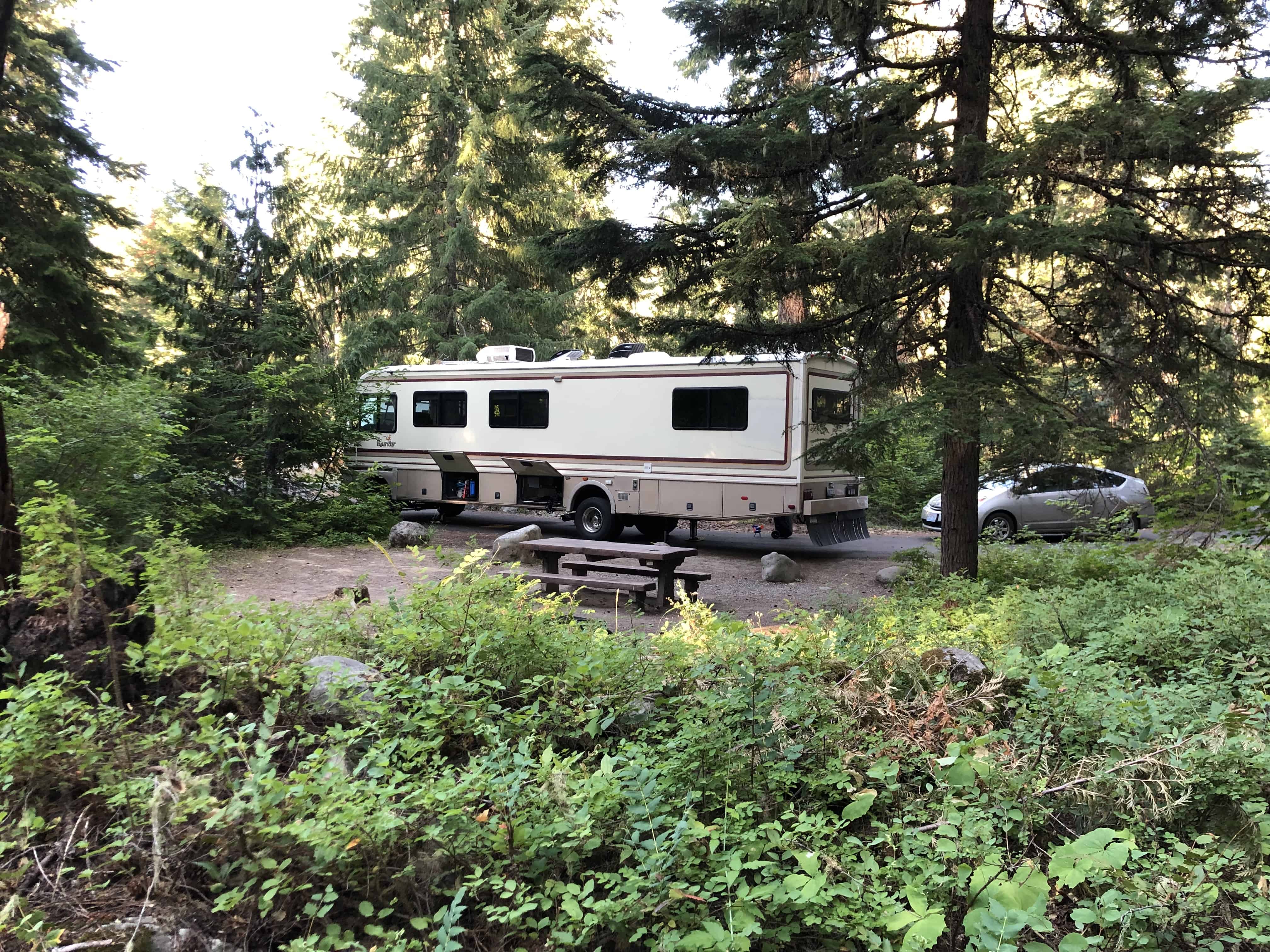 Salmon La Sac Campground