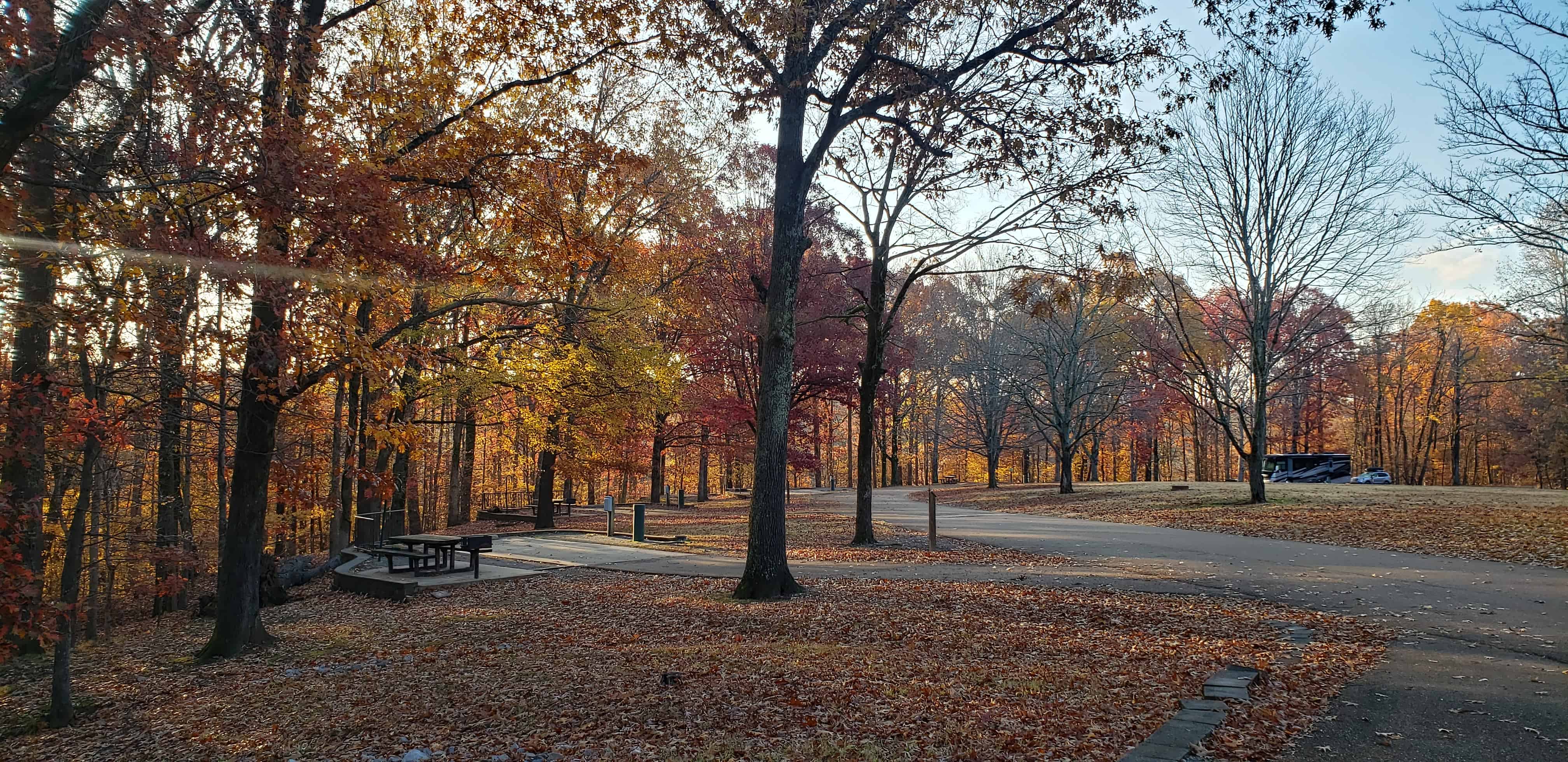 Village Creek State Park