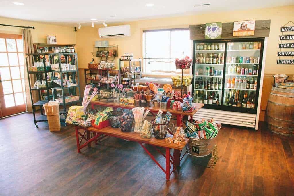 Willamette Wine Country RV Park