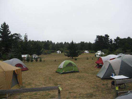 Santa Cruz North Costanoa KOA