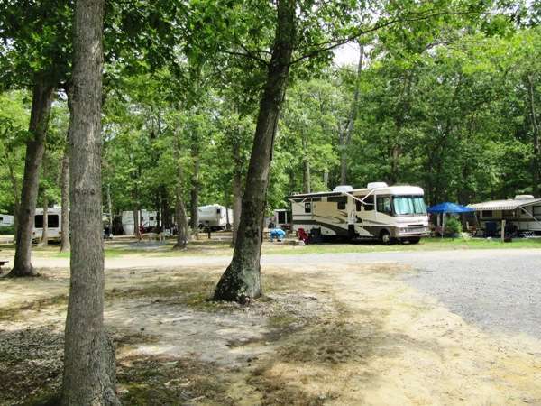Spacious Skies Campgrounds - Country Oaks