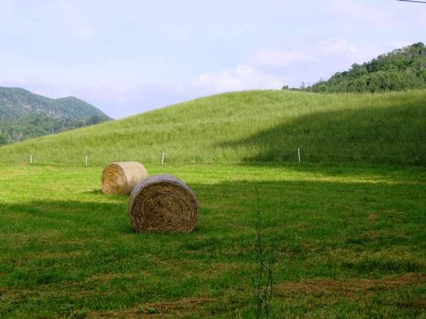 Vanderpool Campground