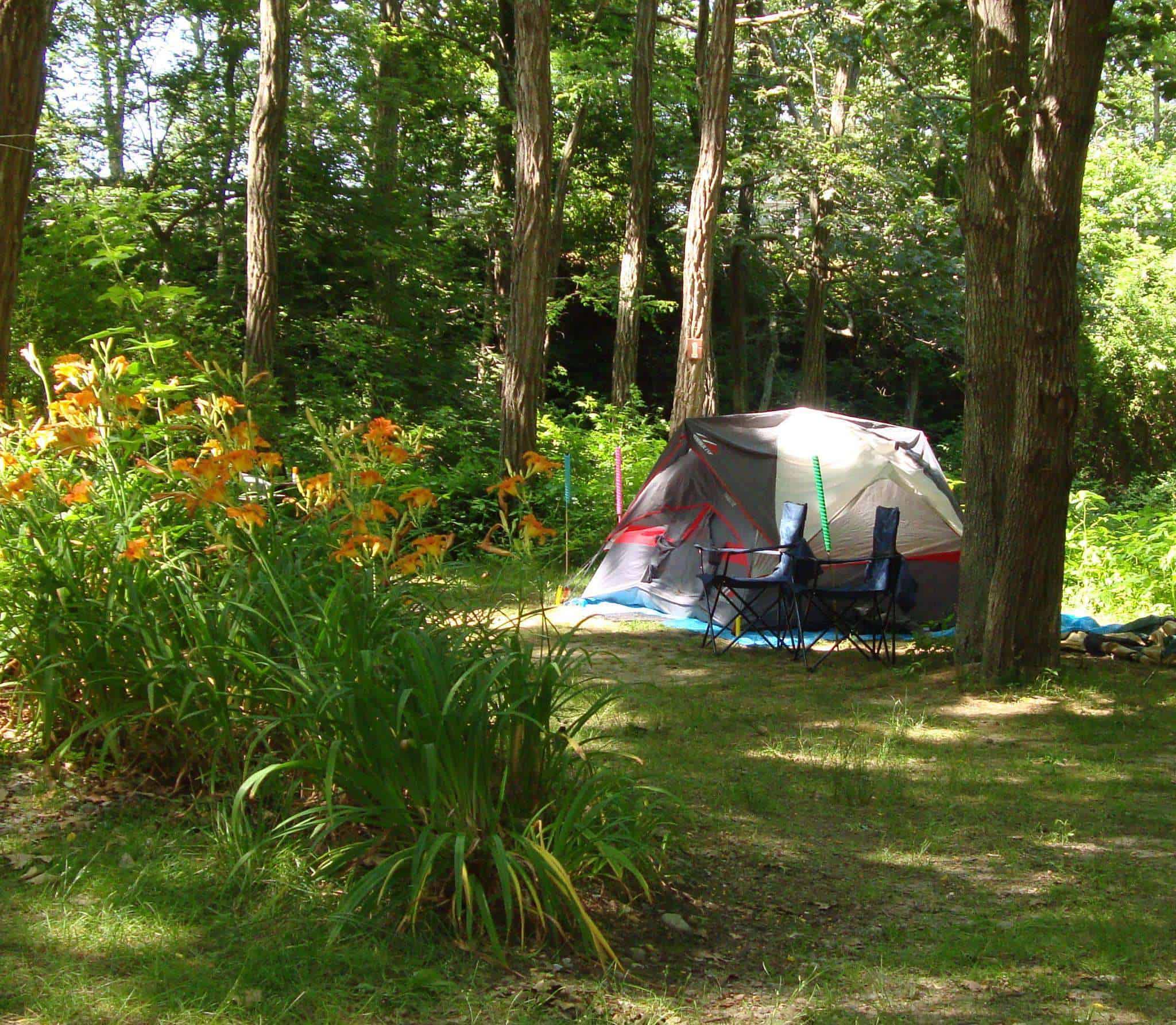 Sippewissett Campground & Cabins