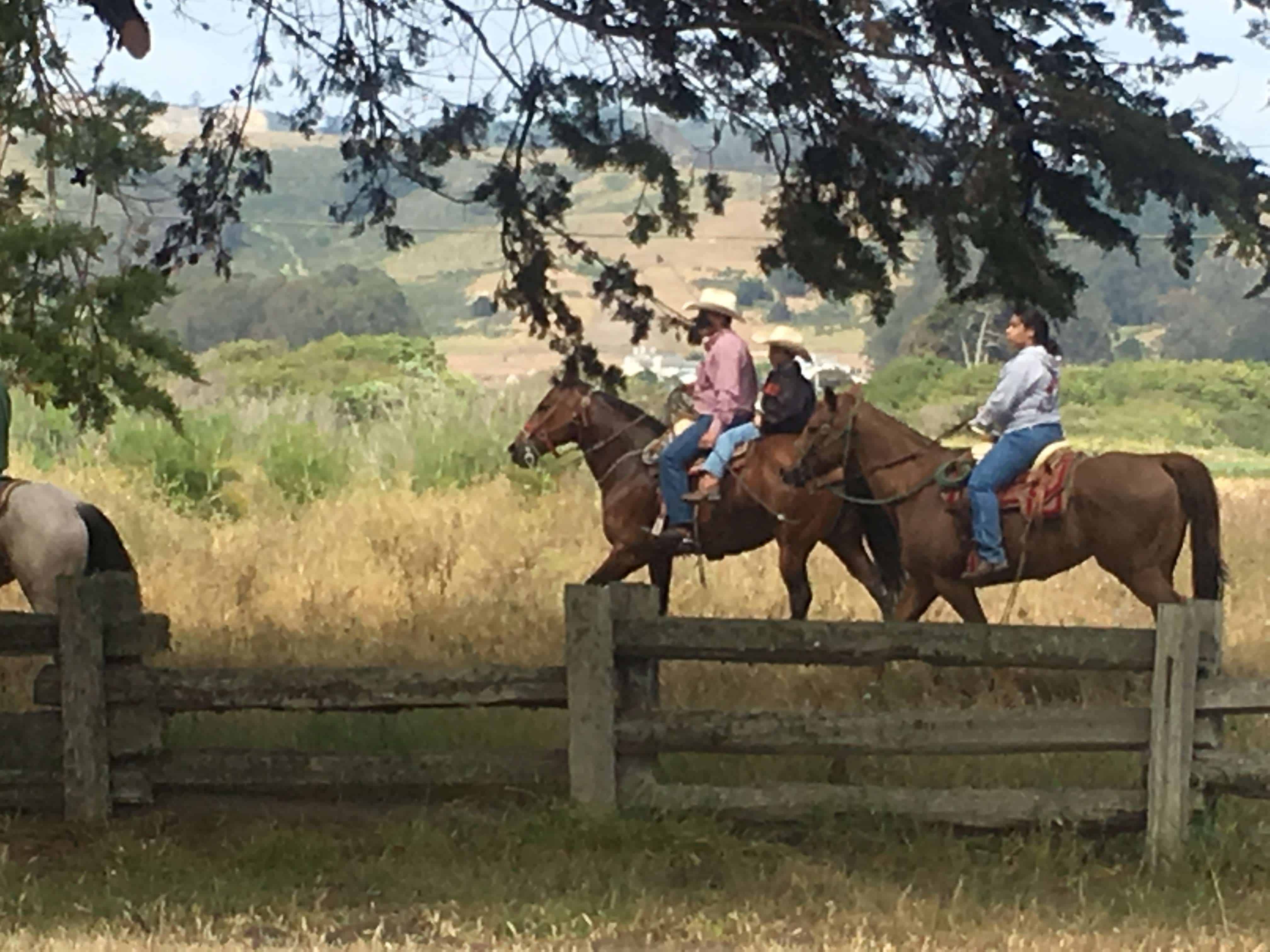 Half Moon Bay State Beach