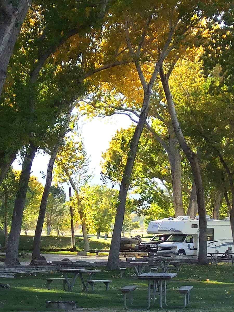 Brown's Town Campground