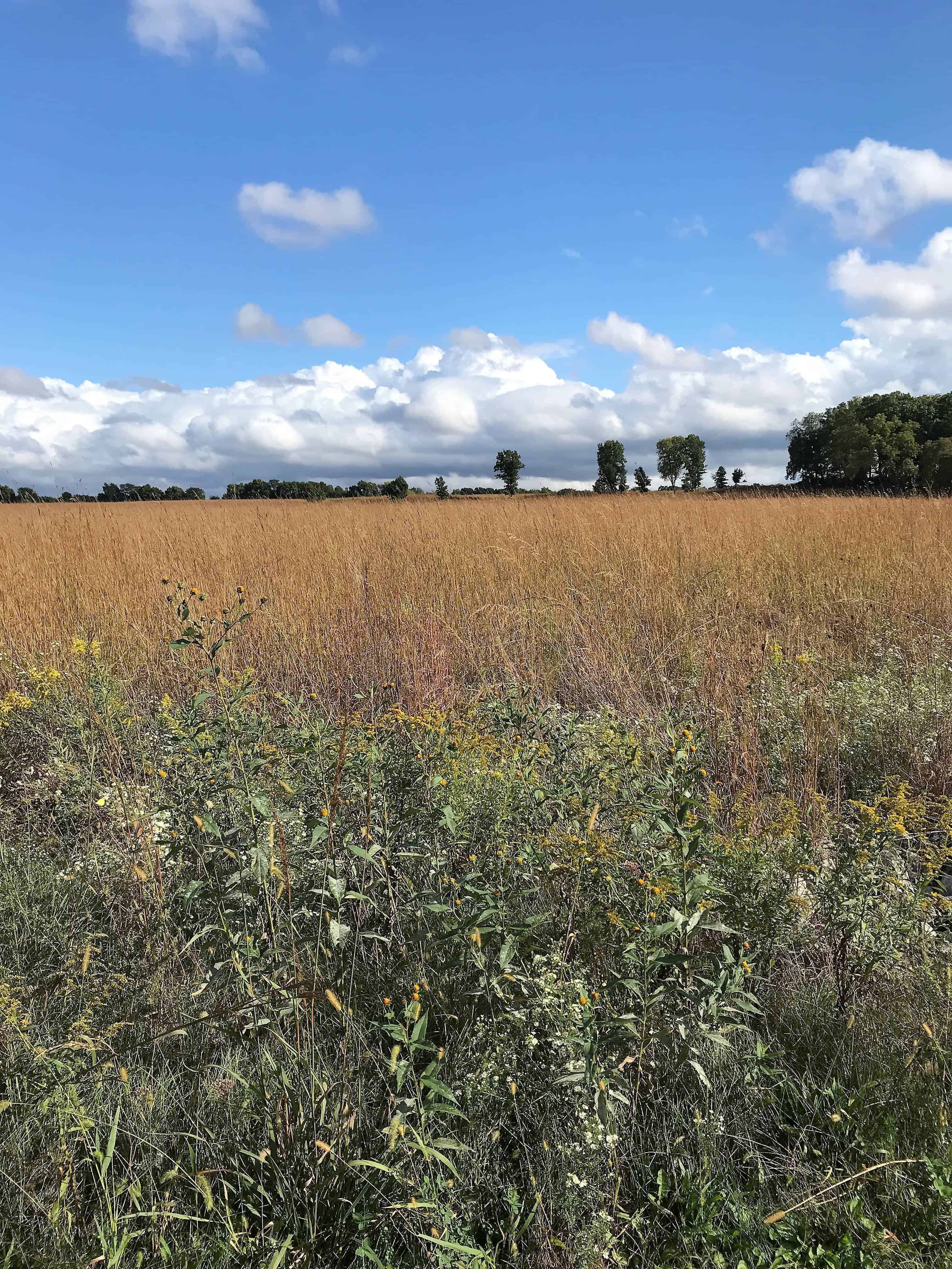 Prophetstown State Park