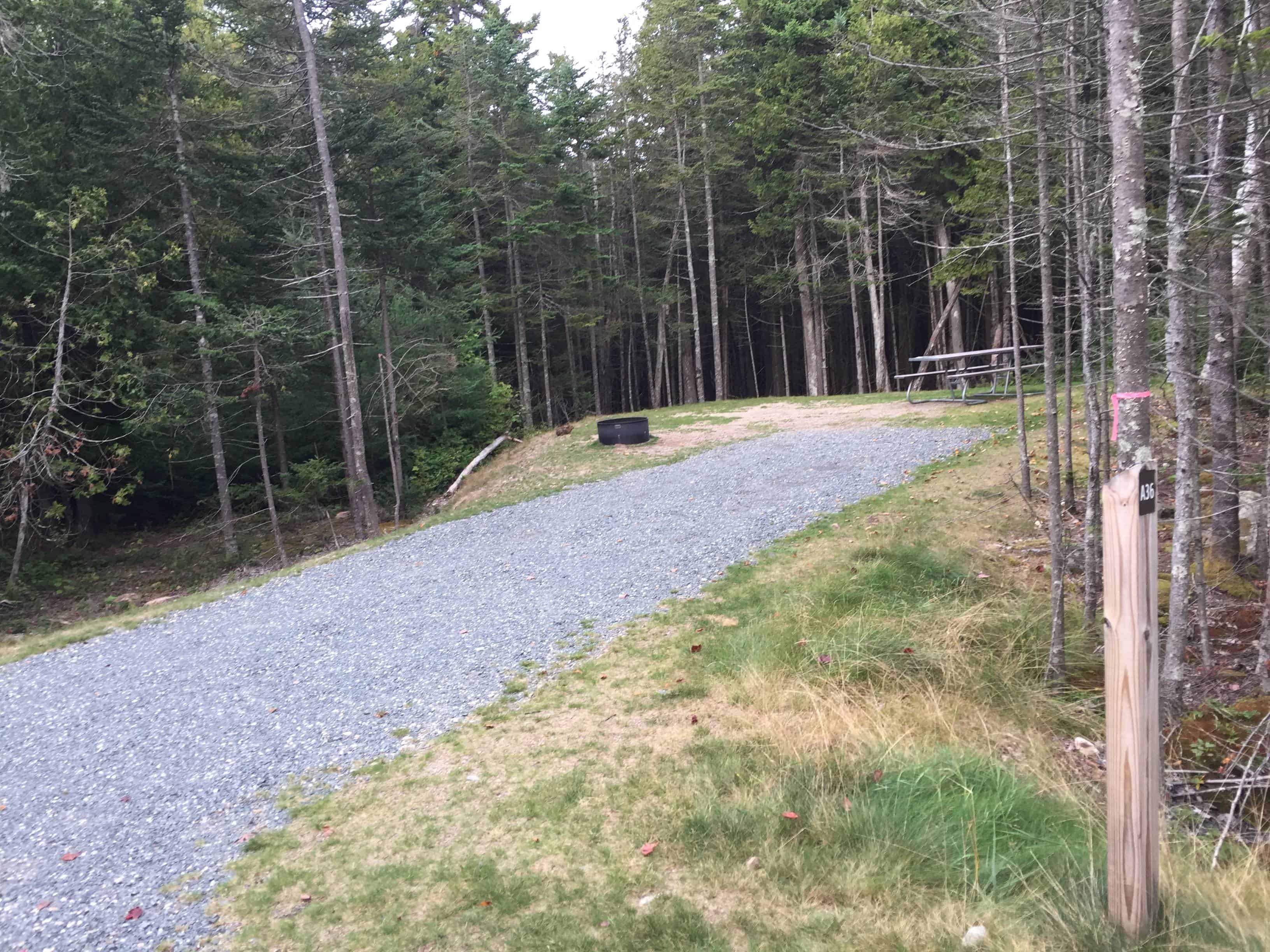 Schoodic Woods Campground