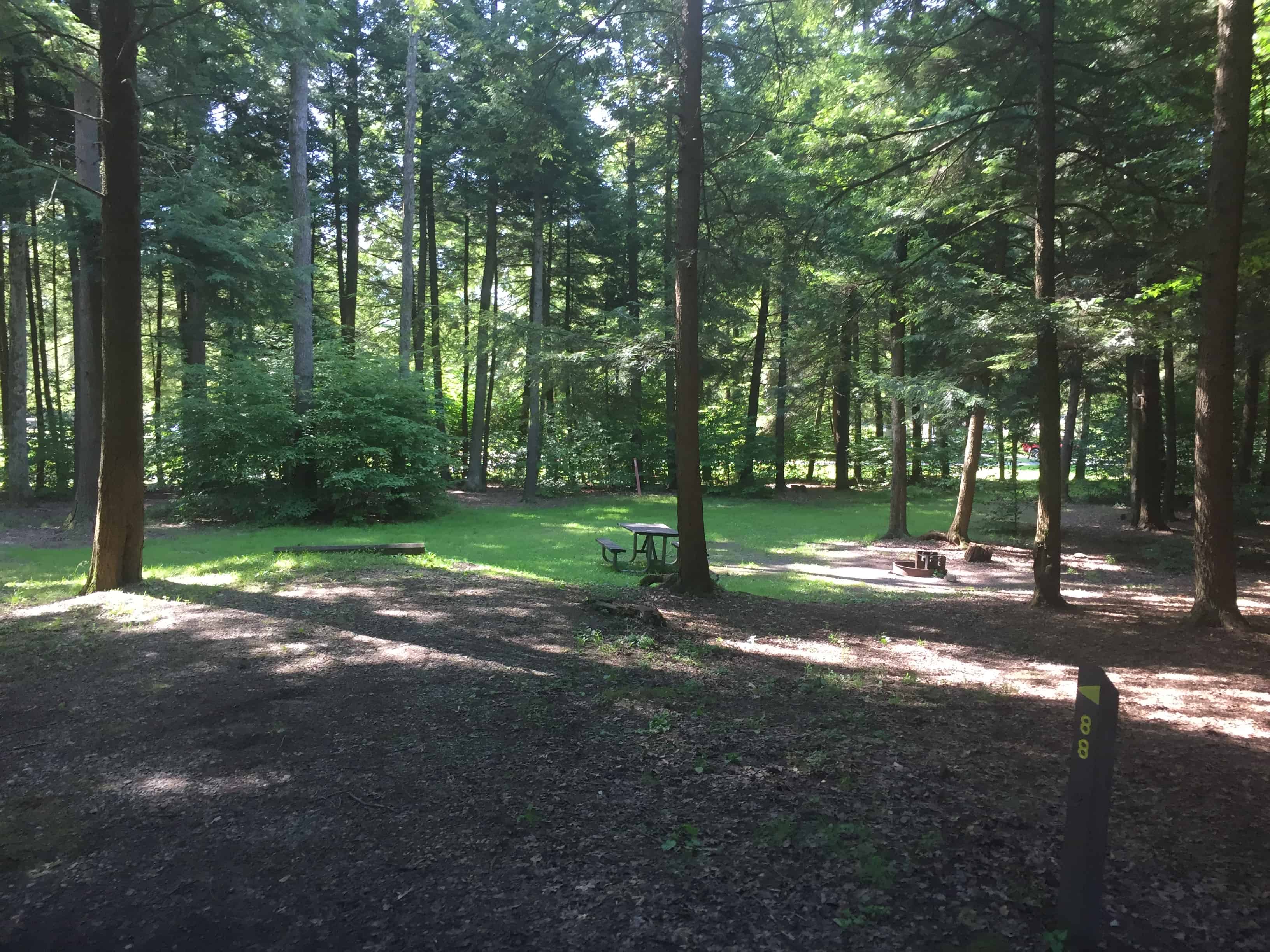 Cook Forest State Park