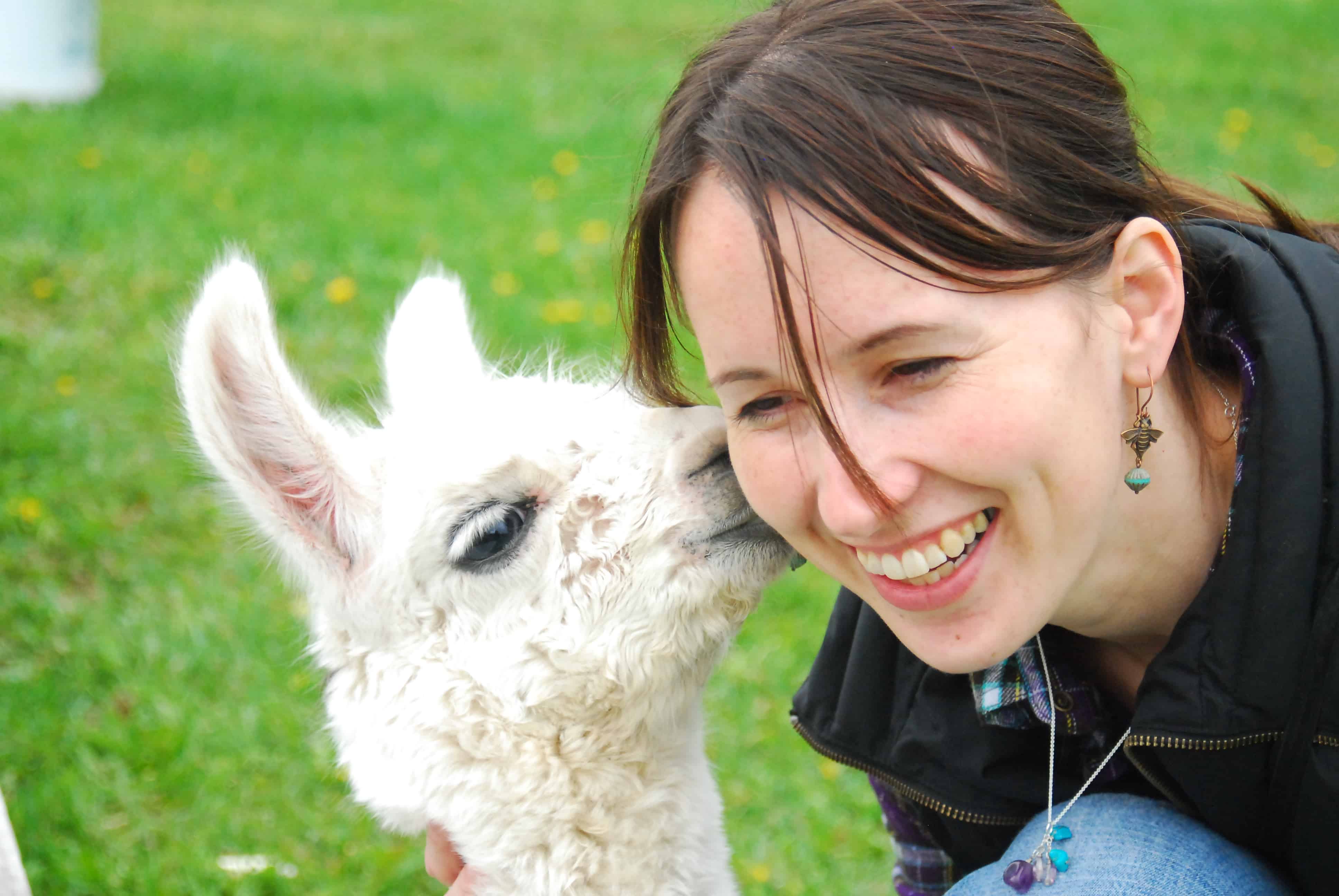 Diamond M Ranch Resort