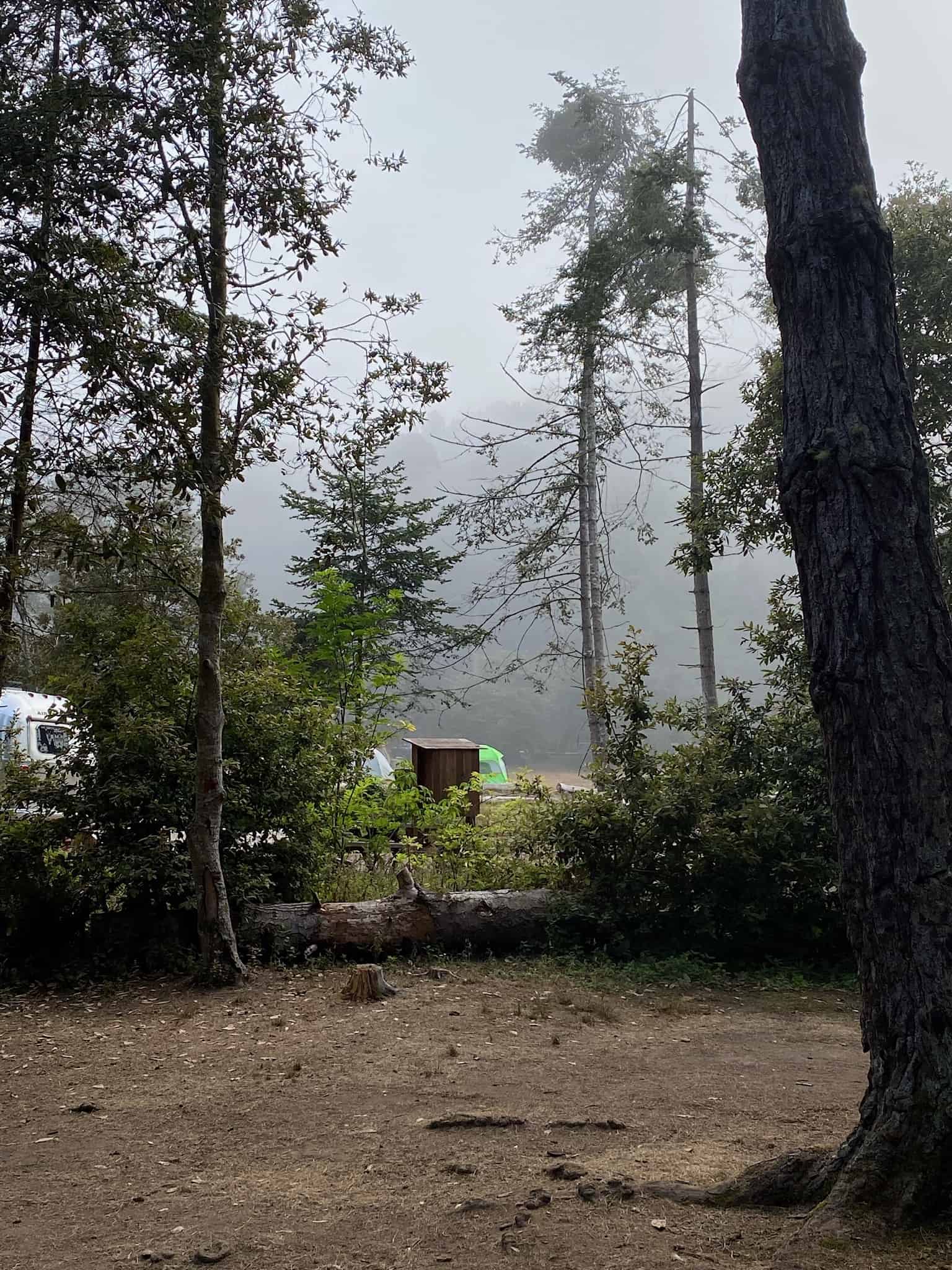 Van Damme State Park