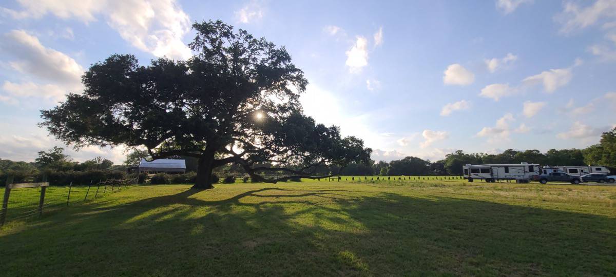 Homestead RV Community