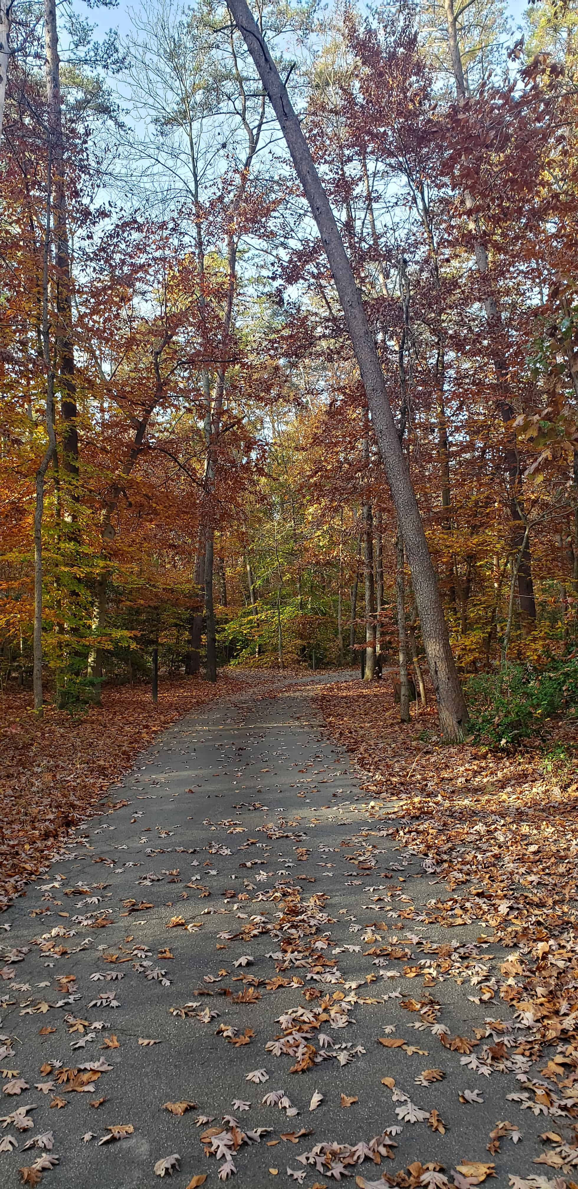 Oak Ridge Campground