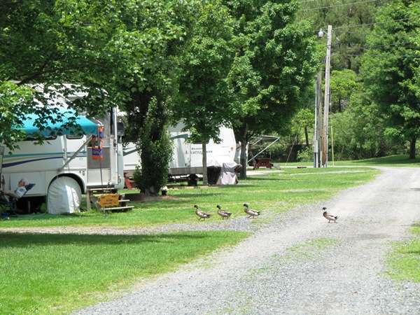 Vanderpool Campground