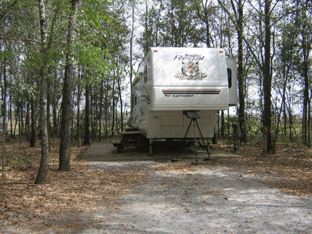 Albany RV Resort