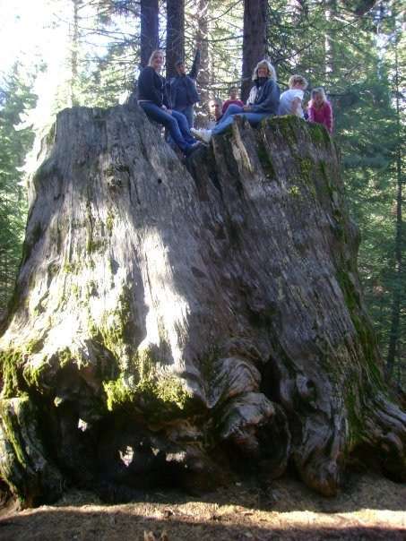 Frasier Mill Campground