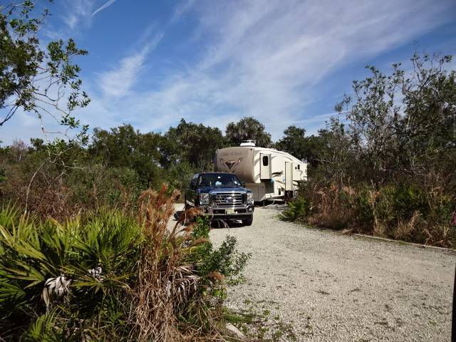 Myakka River State Park Palmetto Ridge Campground