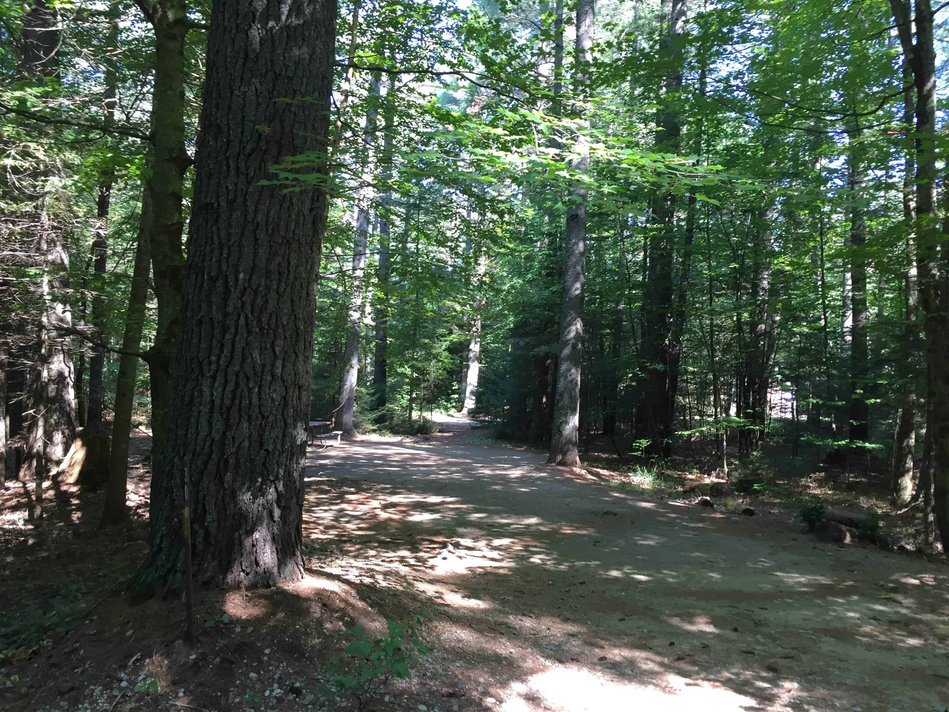 Passaconaway Campground