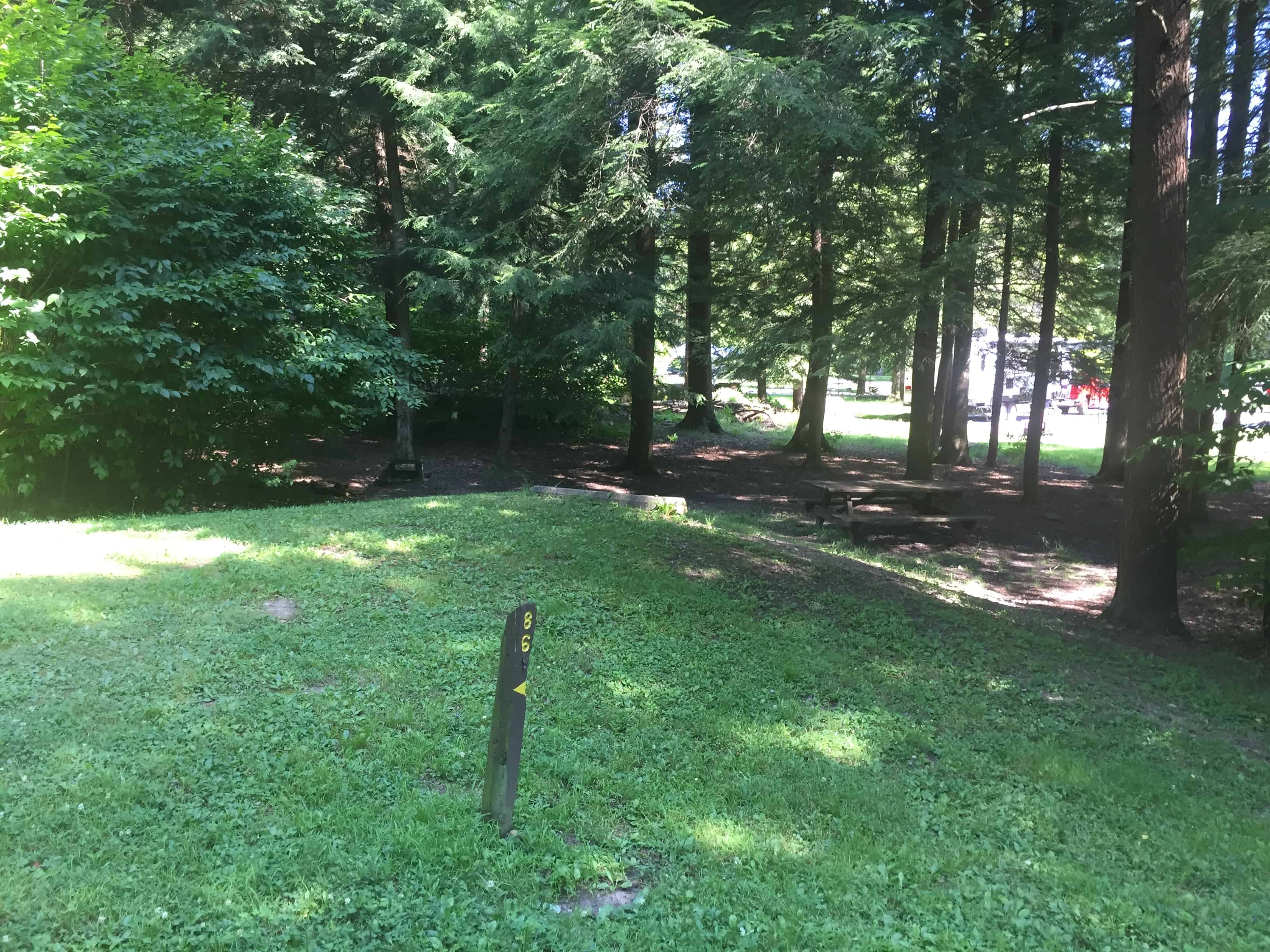 Cook Forest State Park