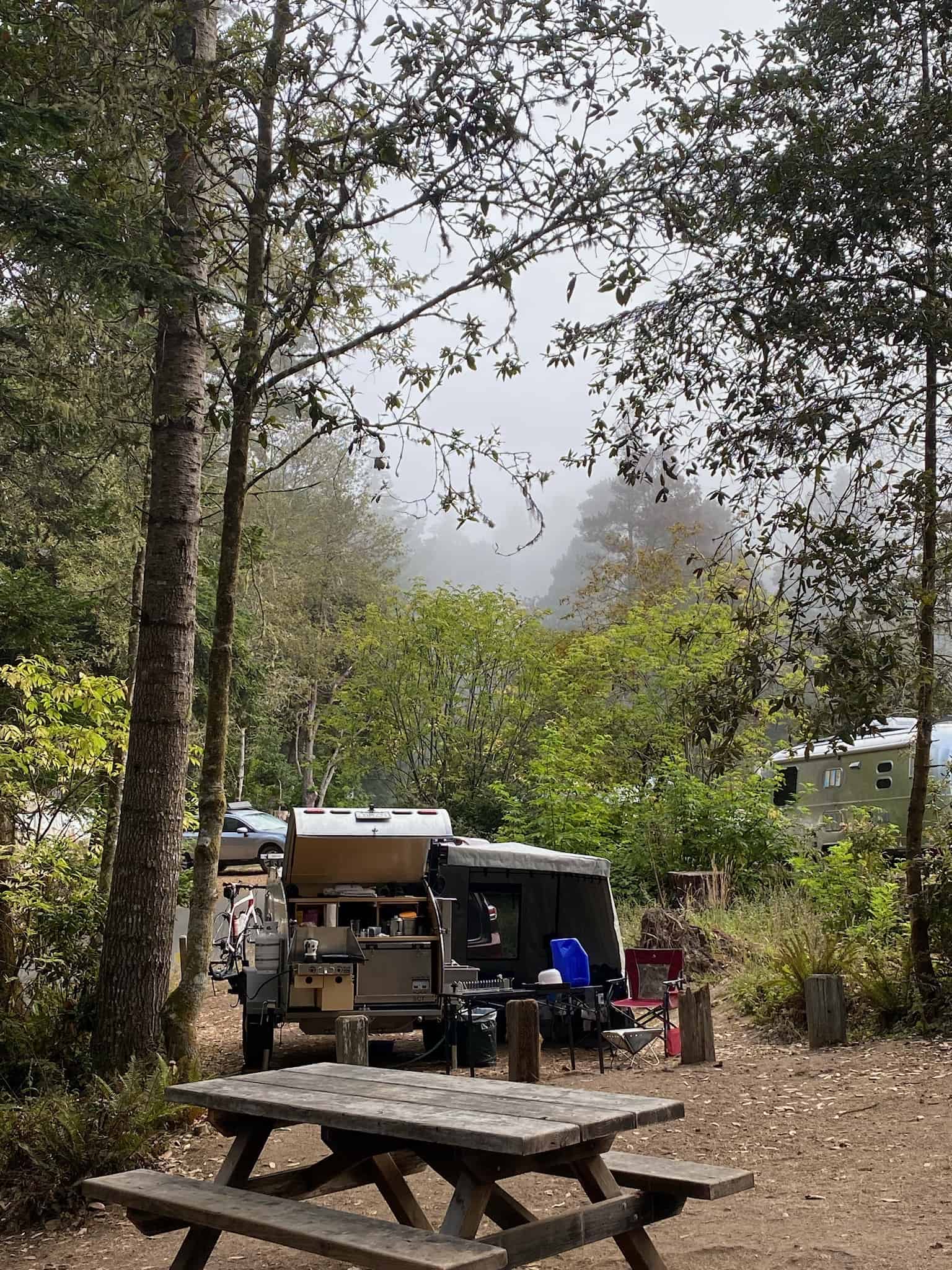 Van Damme State Park