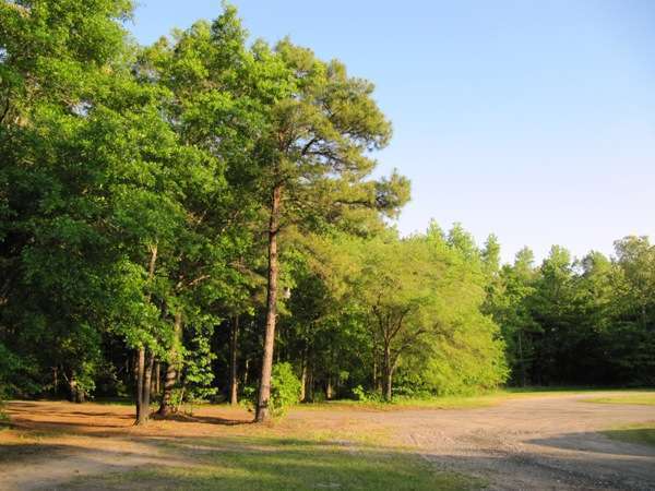 Hardeeville RV- Thomas Parks & Sites