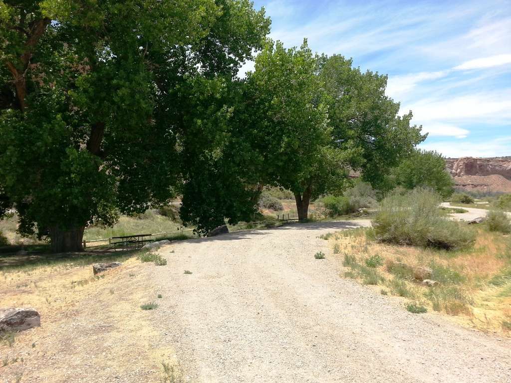 Dewey Bridge Campground