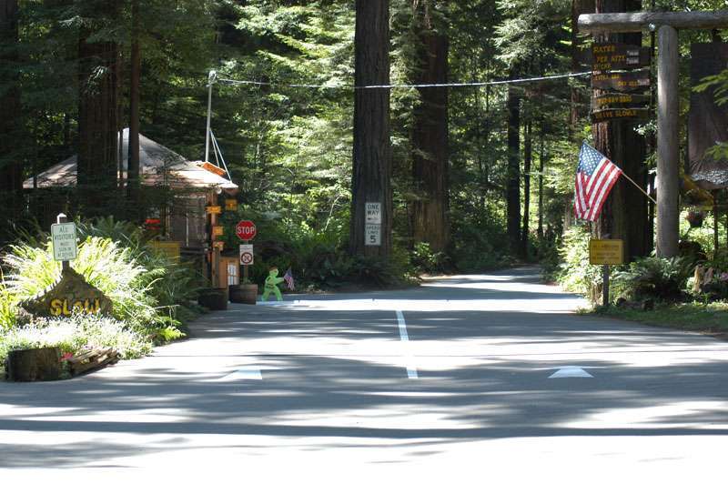 Gualala River Redwood Park