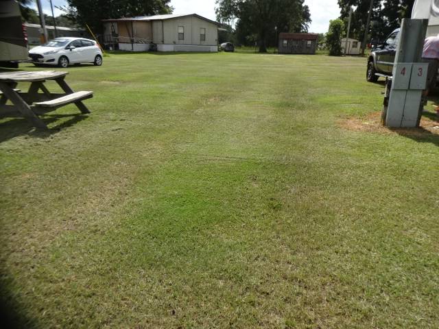 Beaver Lake Campground