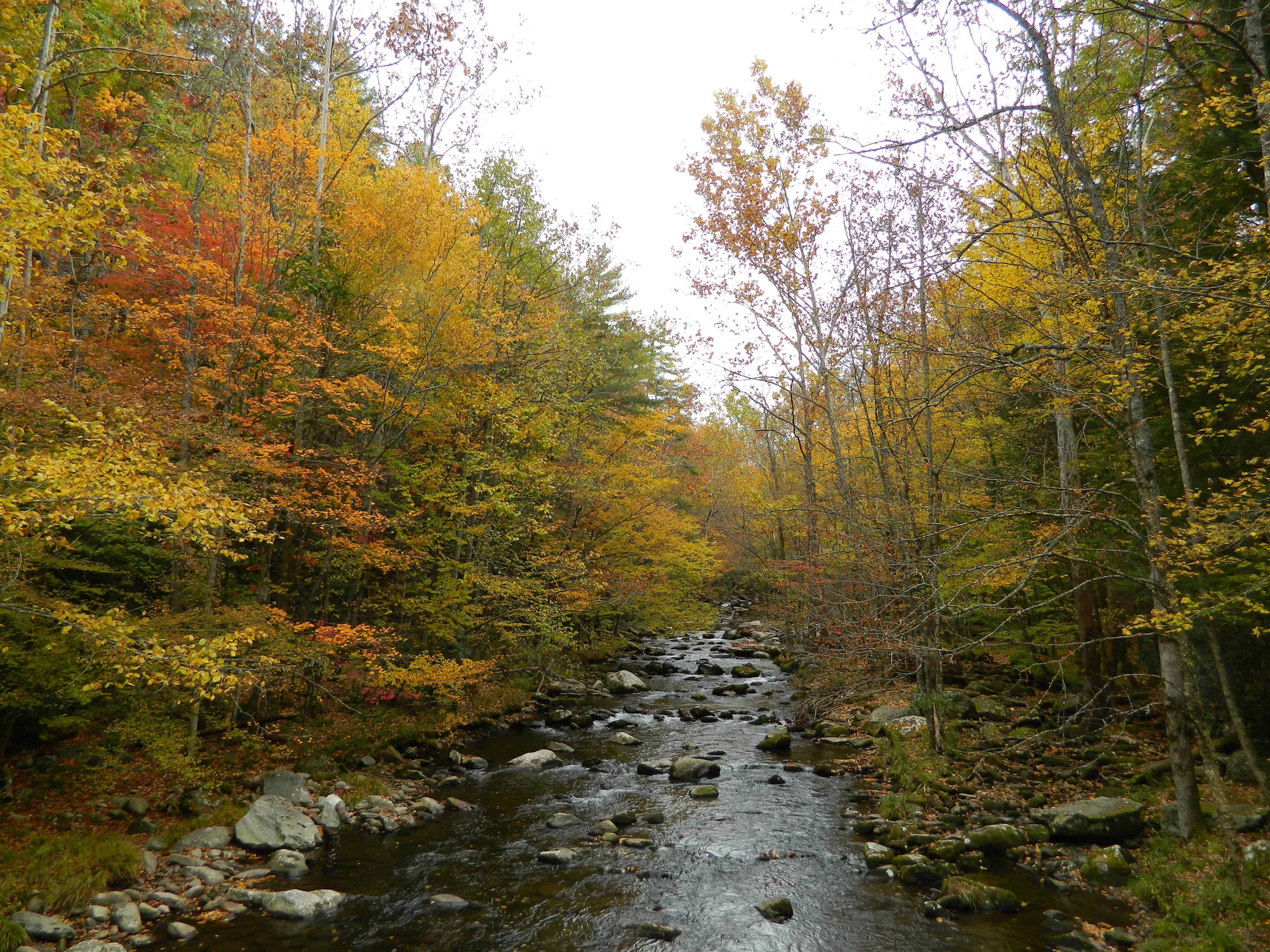 Elkmont Campground