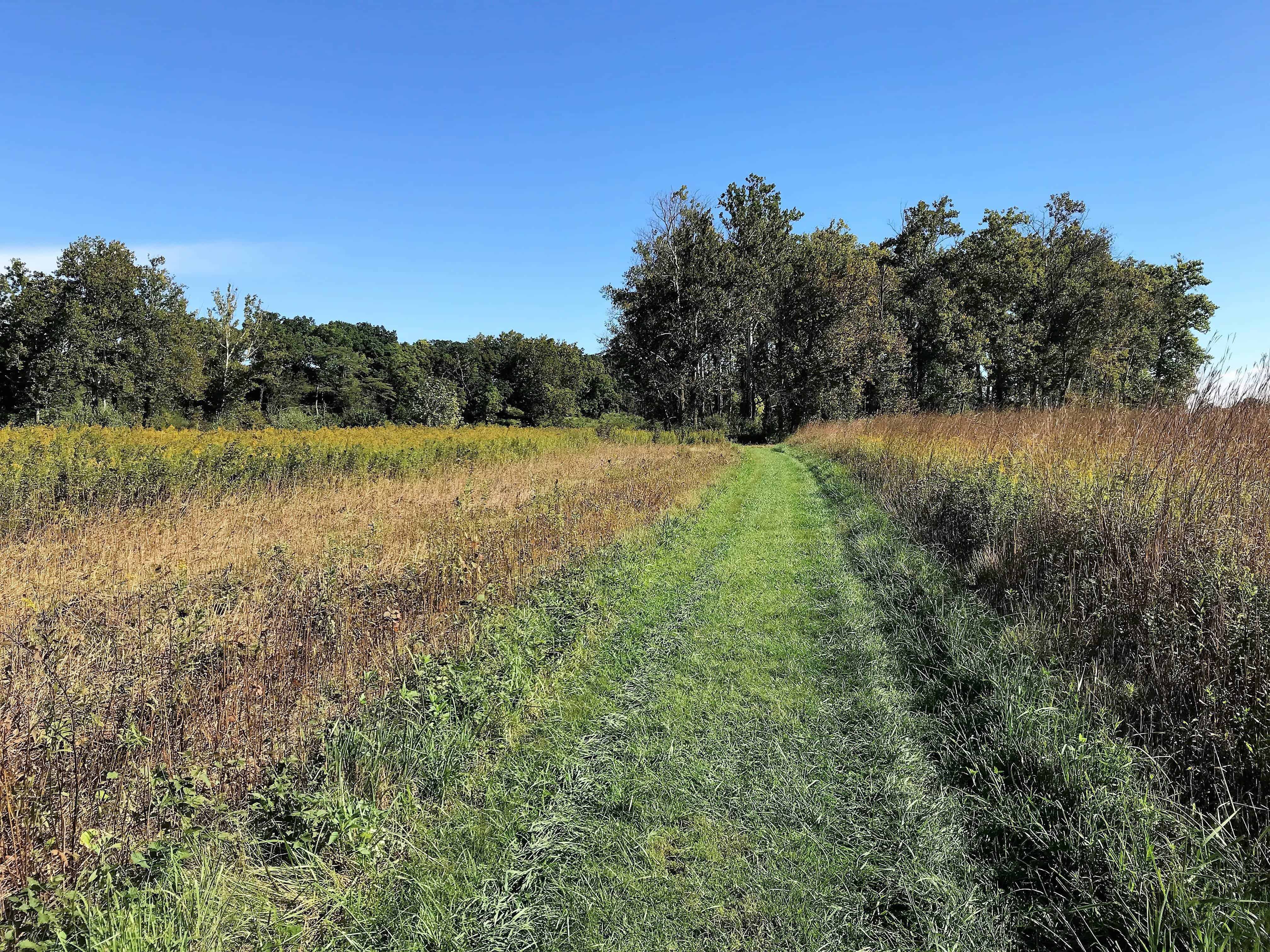 Prophetstown State Park