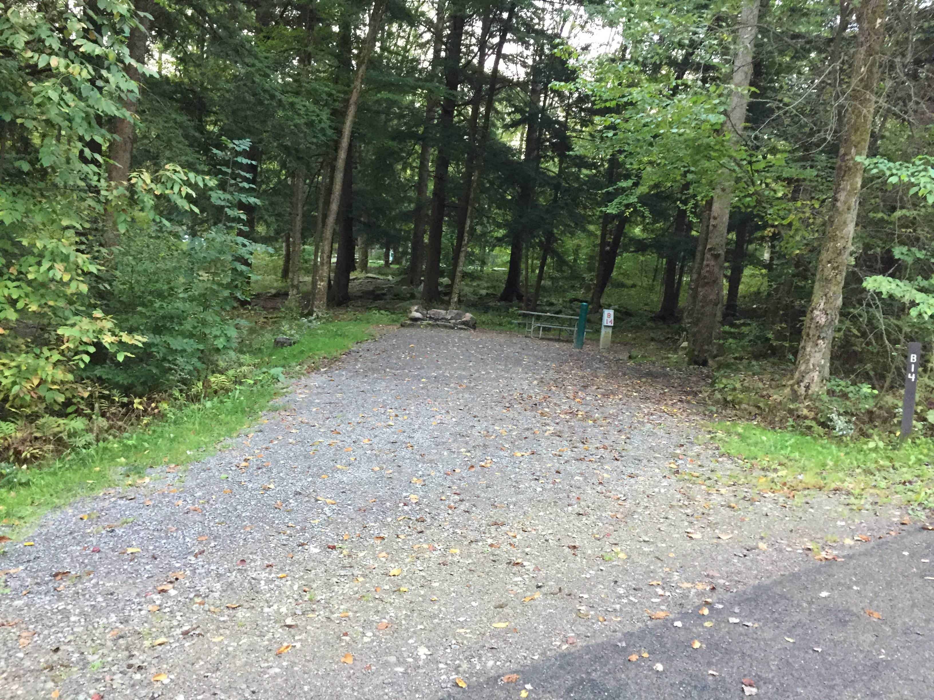 Allegany State Park - Red House Area