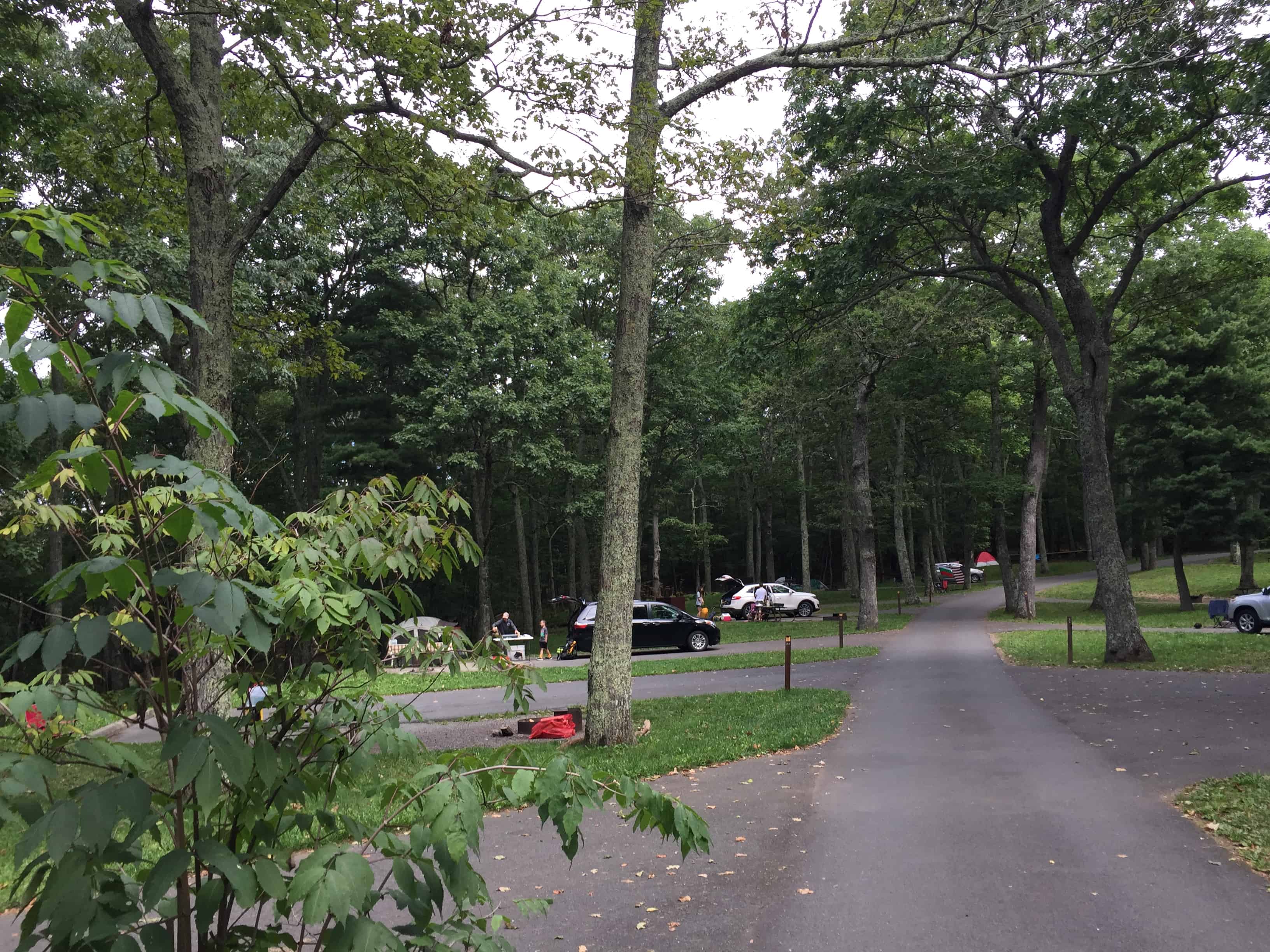 Lewis Mountain Campground