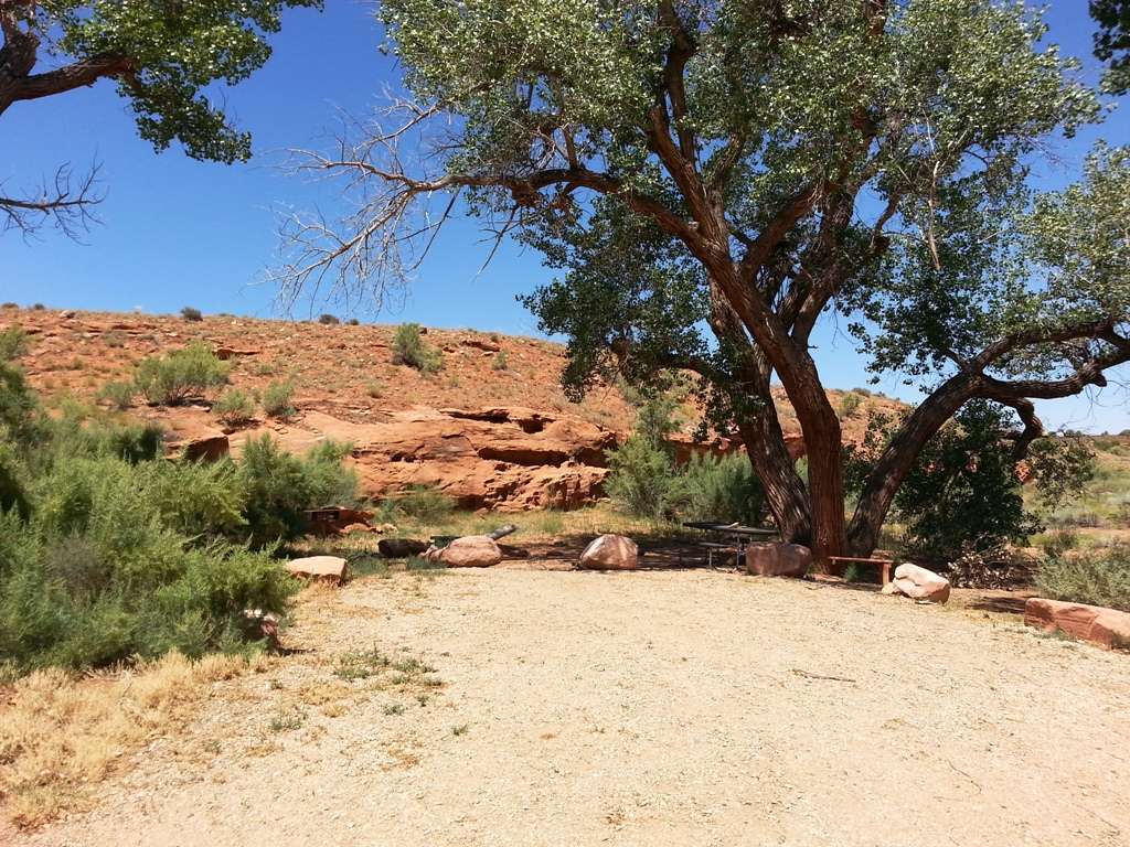 Creek Pasture Designated Camping Area