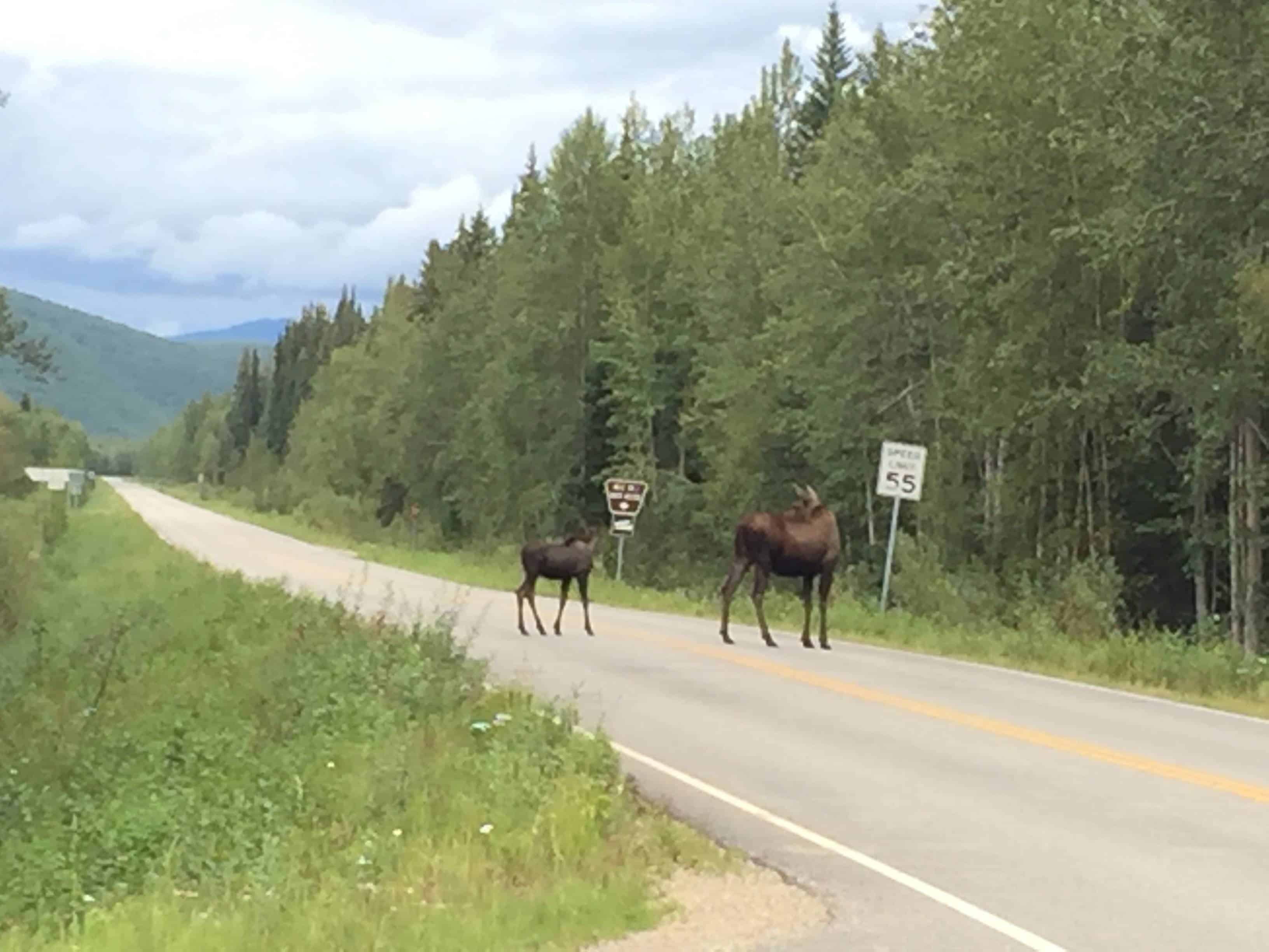 Chena River State Recreation Area