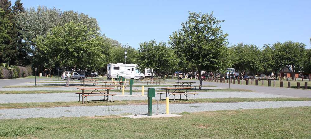 Yogi Bear's Jellystone Park™ Camp-Resort: Tower Park