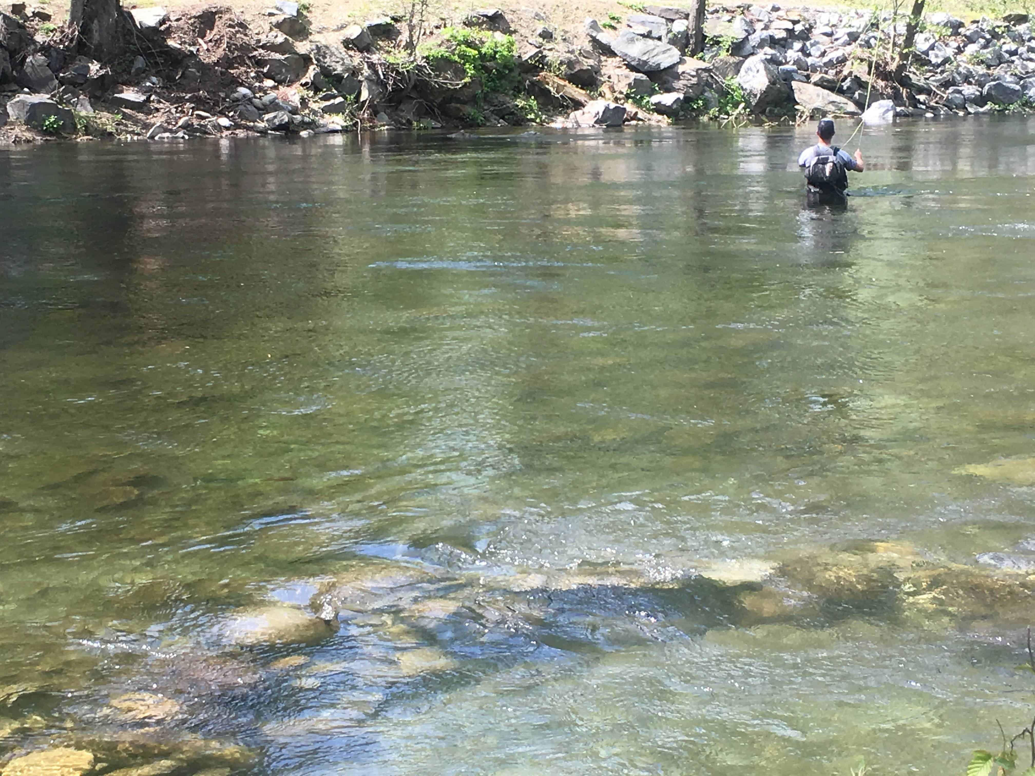 Little Arrow Outdoor Resort