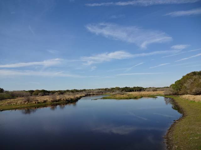 Myakka River State Park Big Flats Campground
