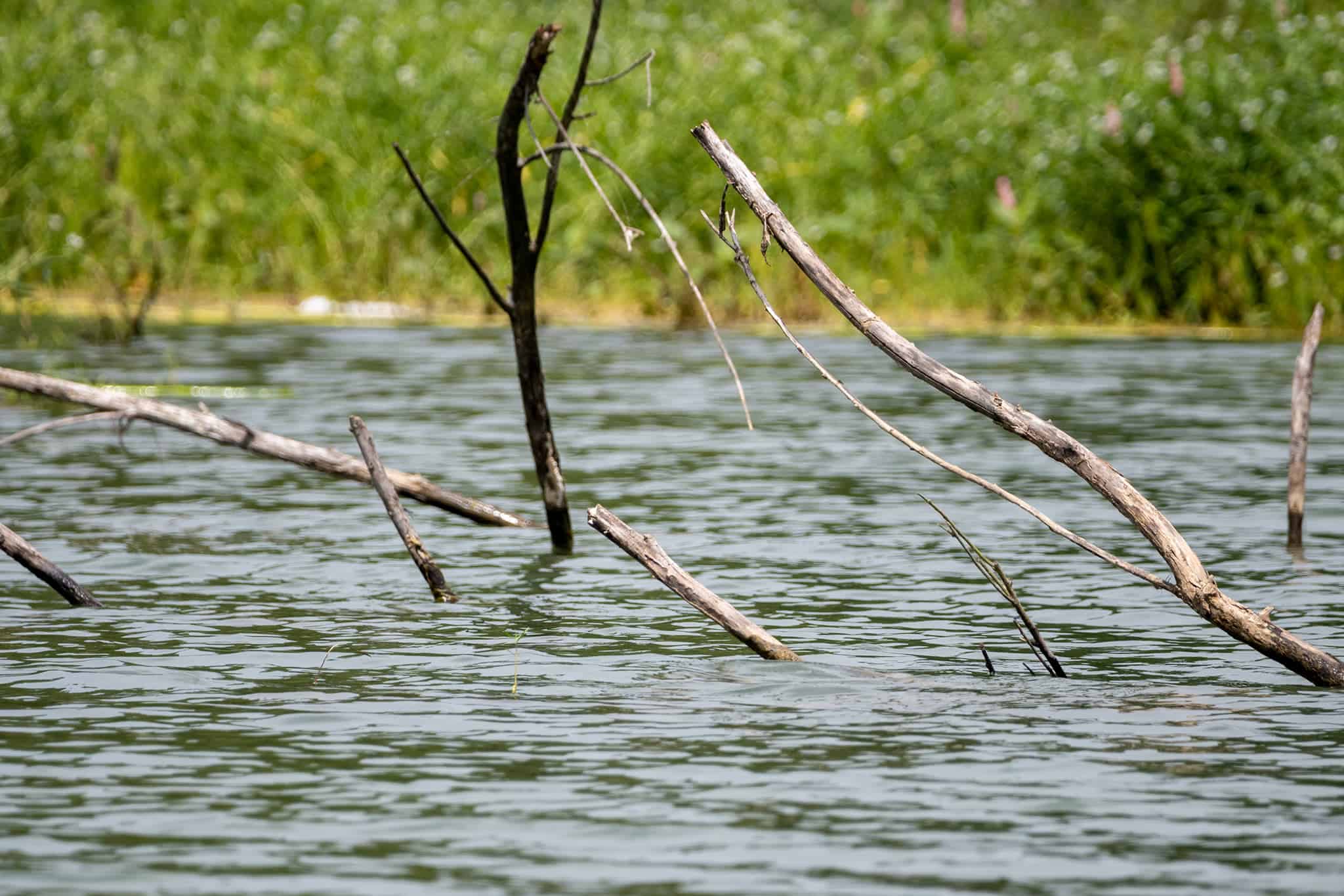 Lake Murray State Park - Dukes